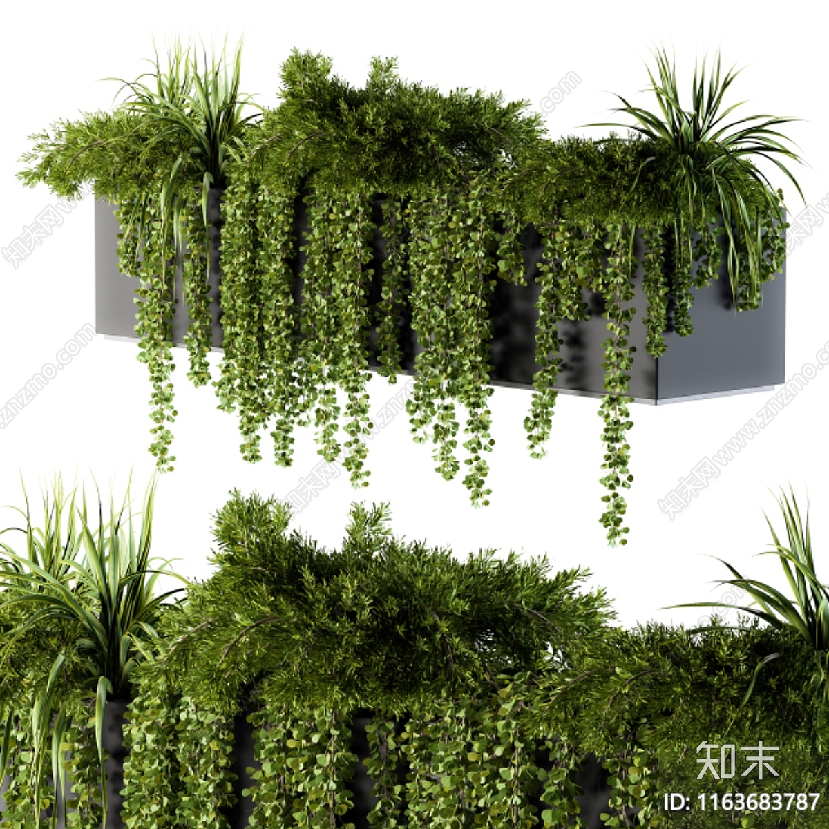 盆栽3D模型下载【ID:1163683787】