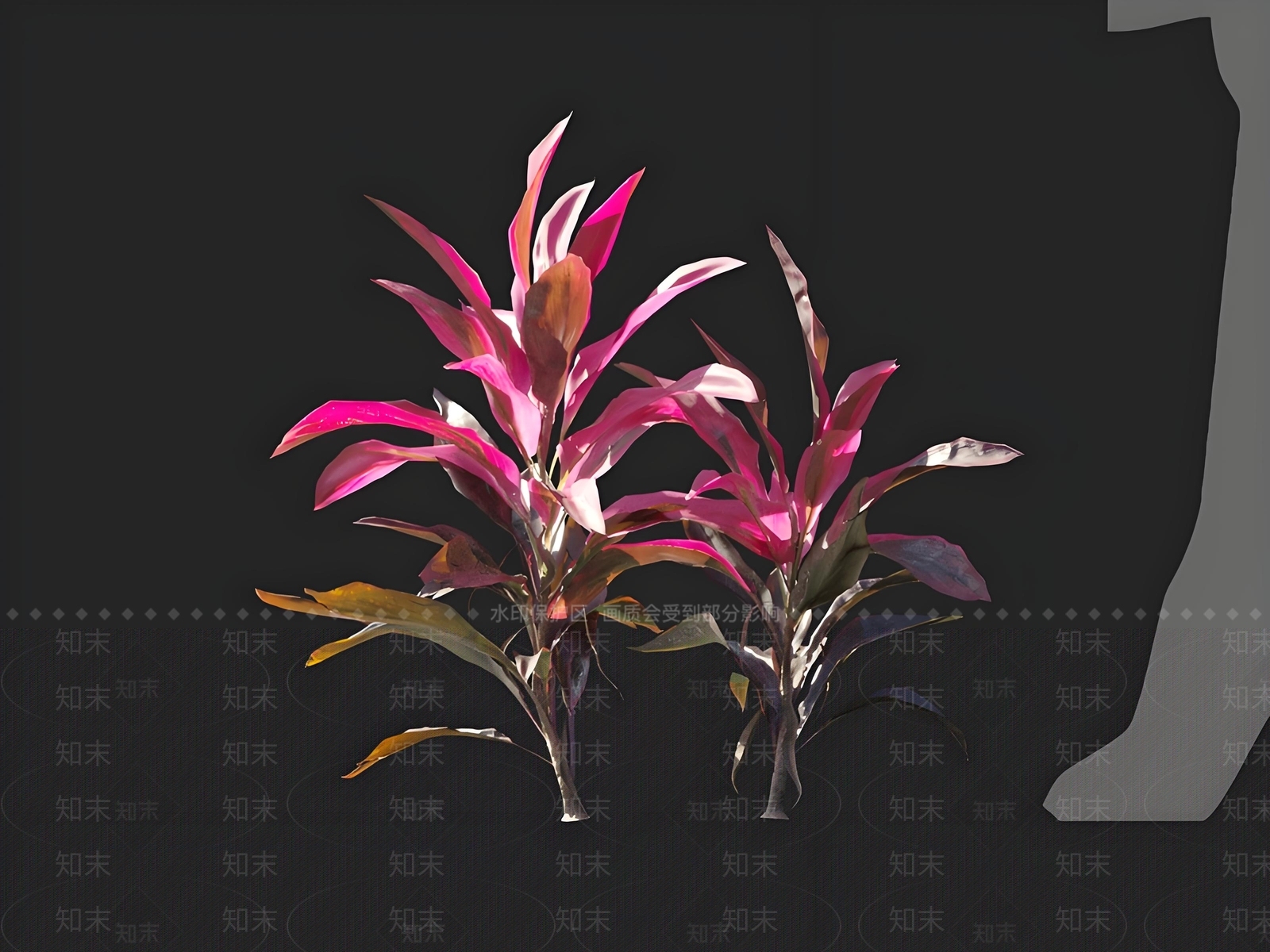 其他绿植3D模型下载【ID:1163725859】