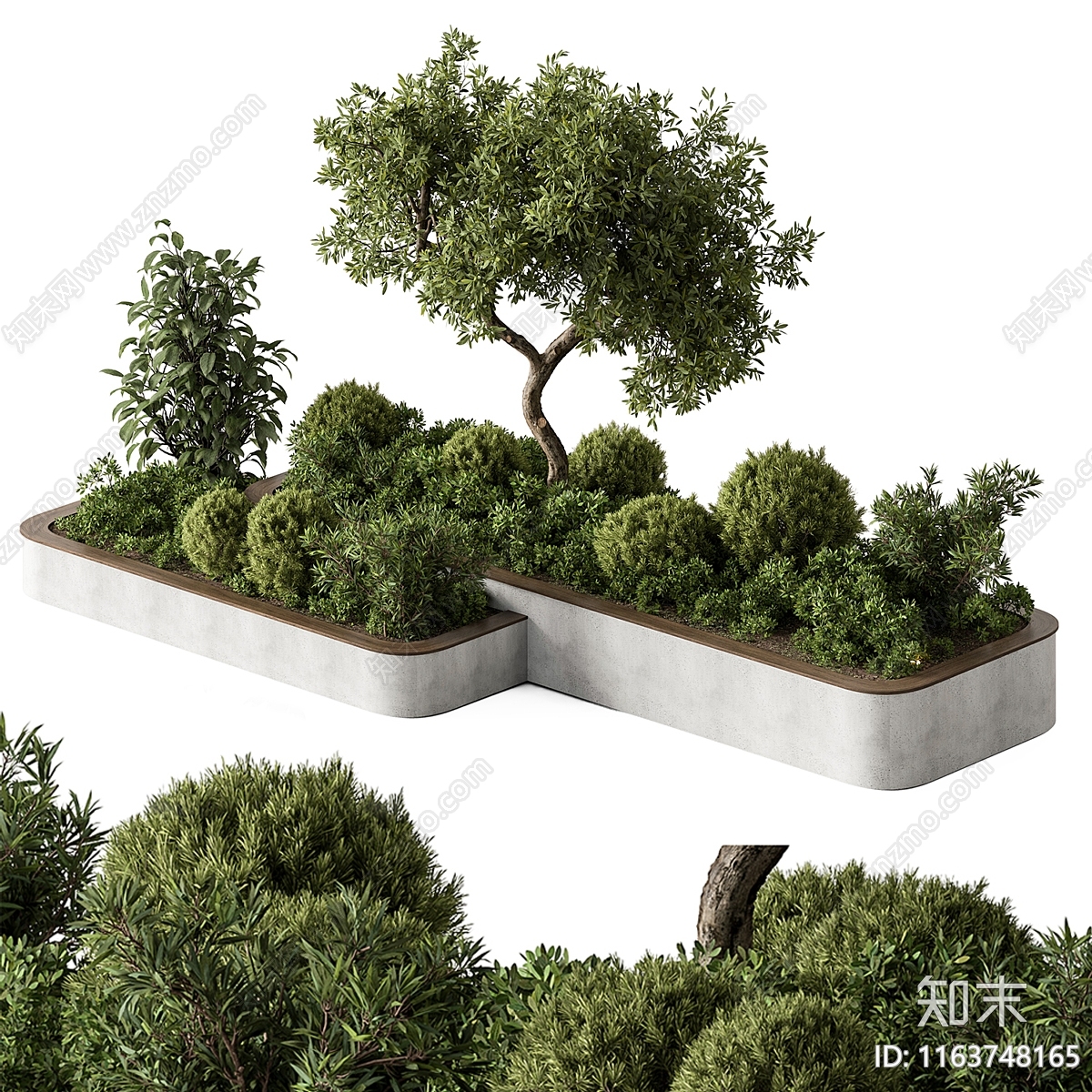 植物堆3D模型下载【ID:1163748165】