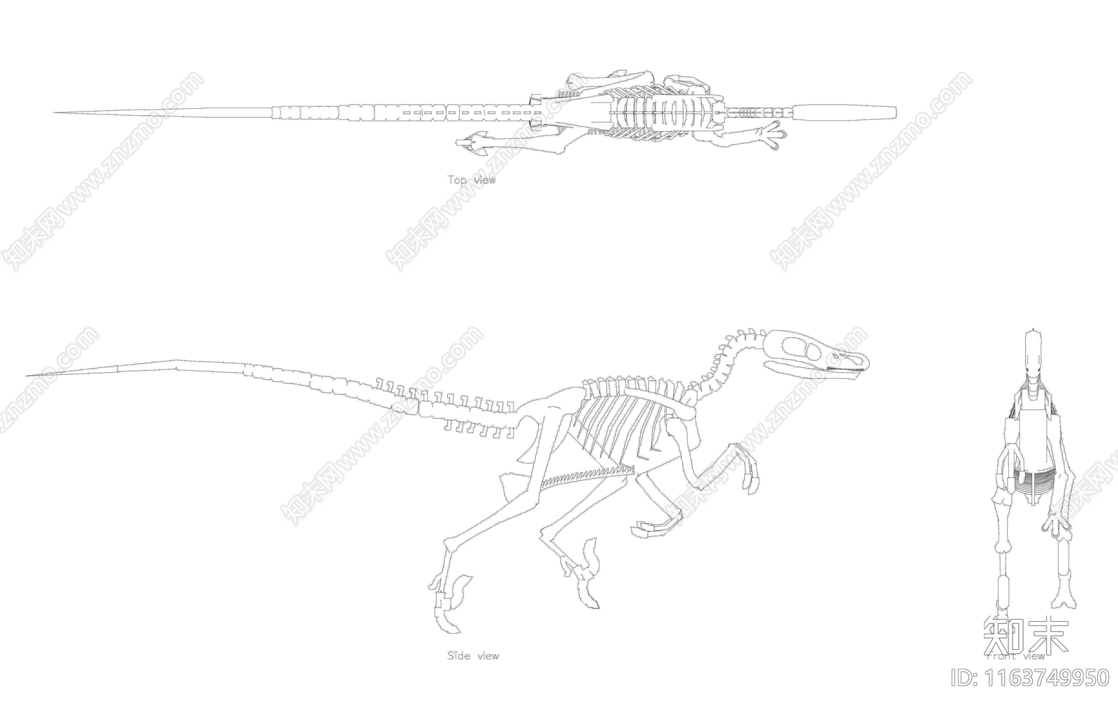 现代动物施工图下载【ID:1163749950】