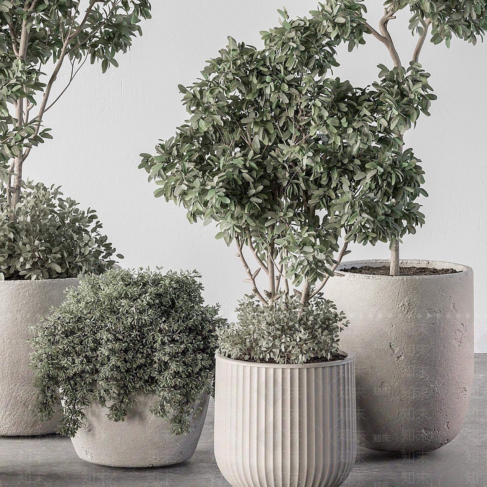 盆栽3D模型下载【ID:1163770343】