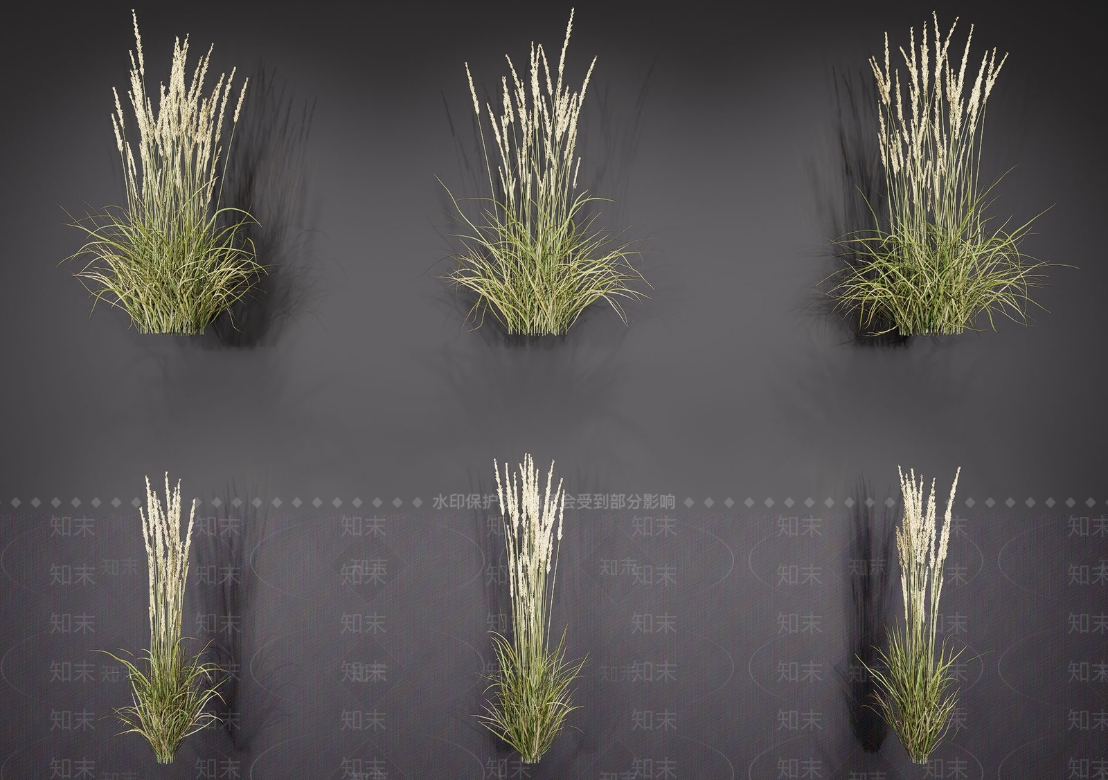 草3D模型下载【ID:1163773996】