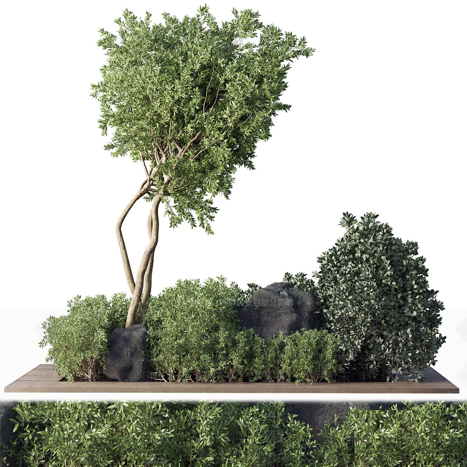 盆栽3D模型下载【ID:1163961563】