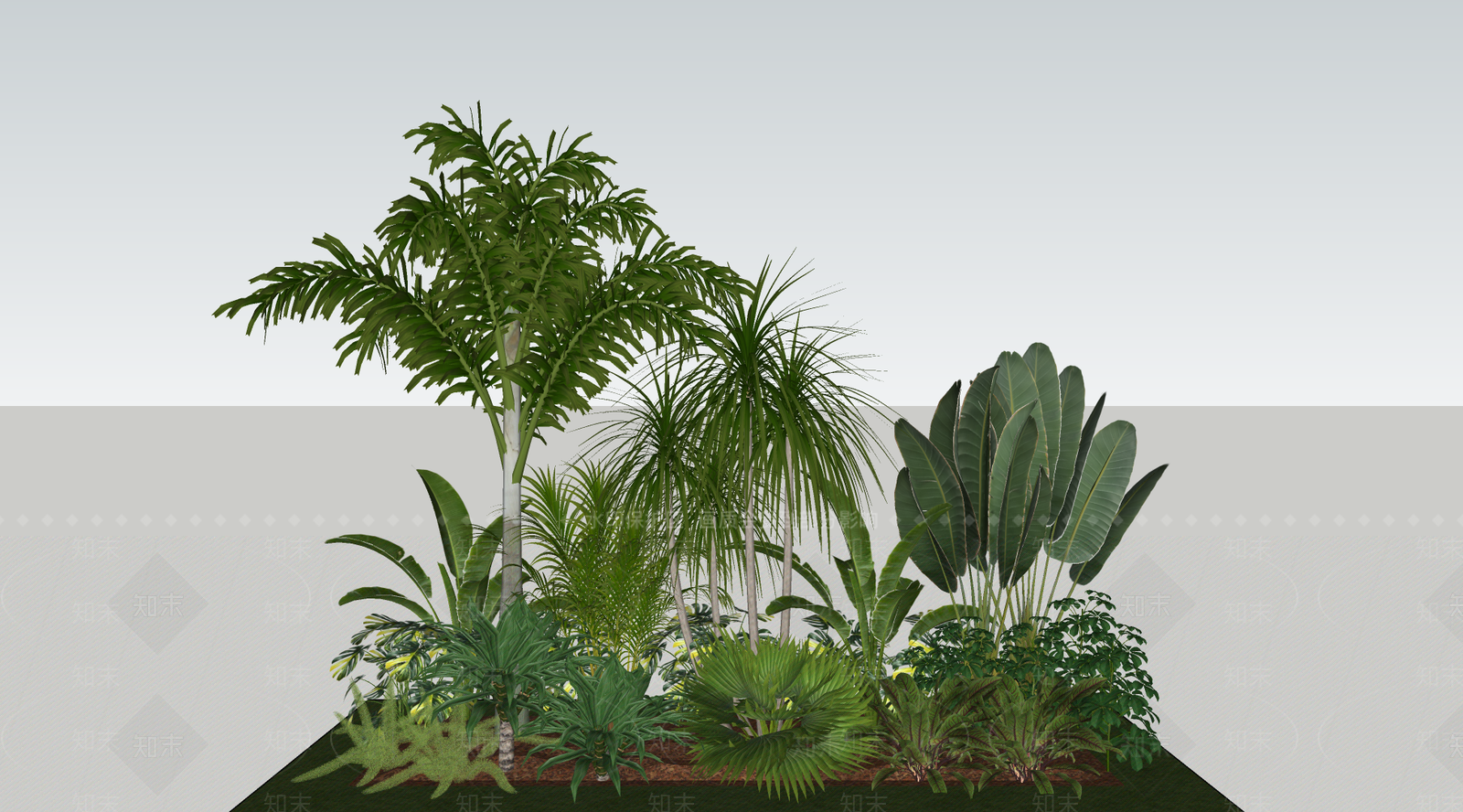 植物组合SU模型下载【ID:1163964945】