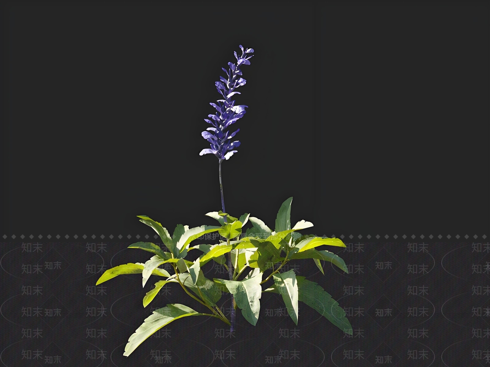 花坛3D模型下载【ID:1164009845】