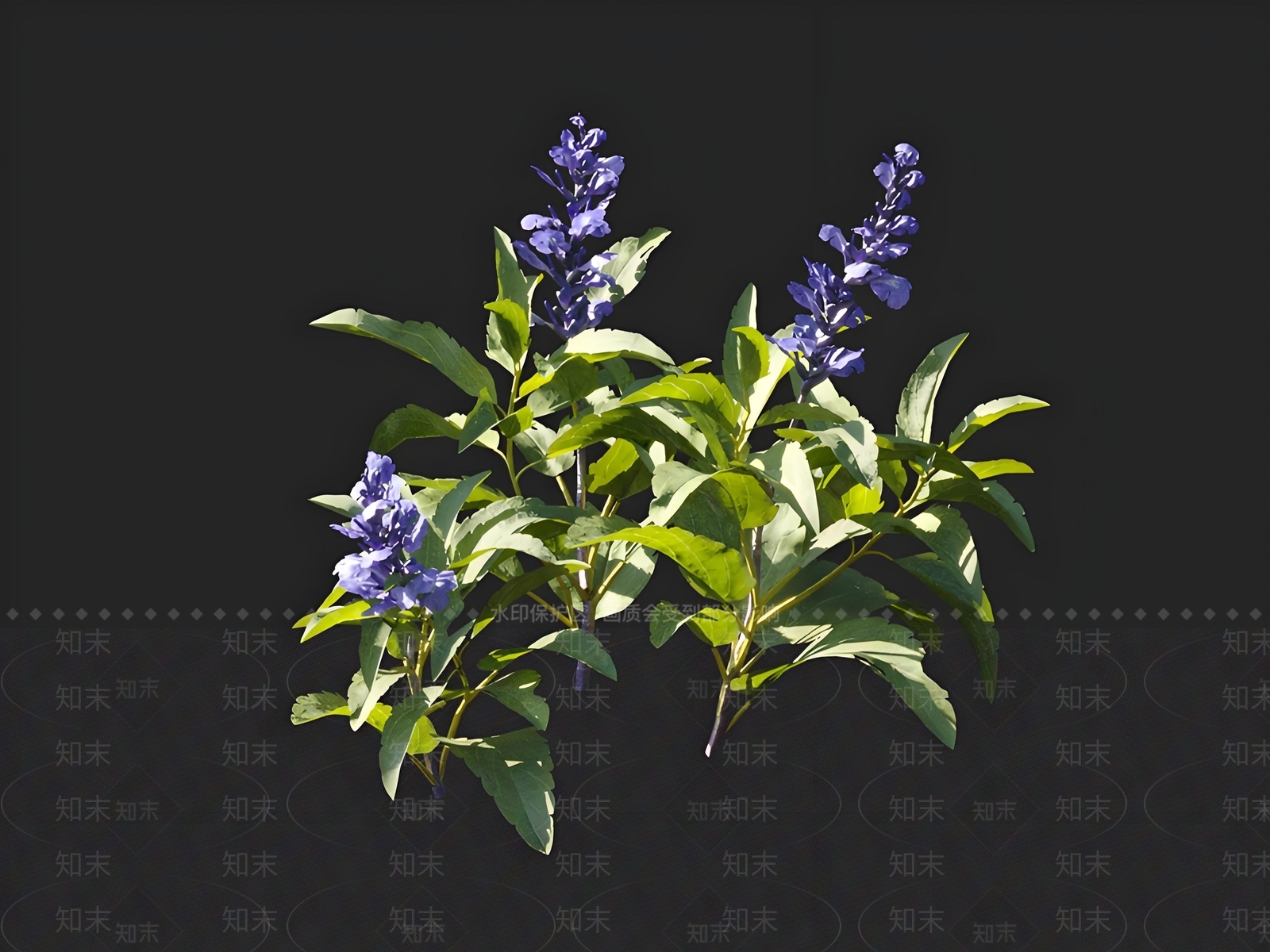 其他绿植3D模型下载【ID:1164010503】