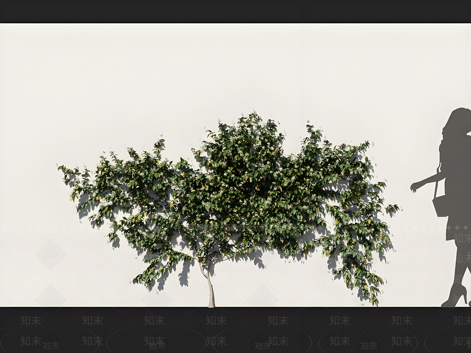 藤蔓3D模型下载【ID:1164014697】