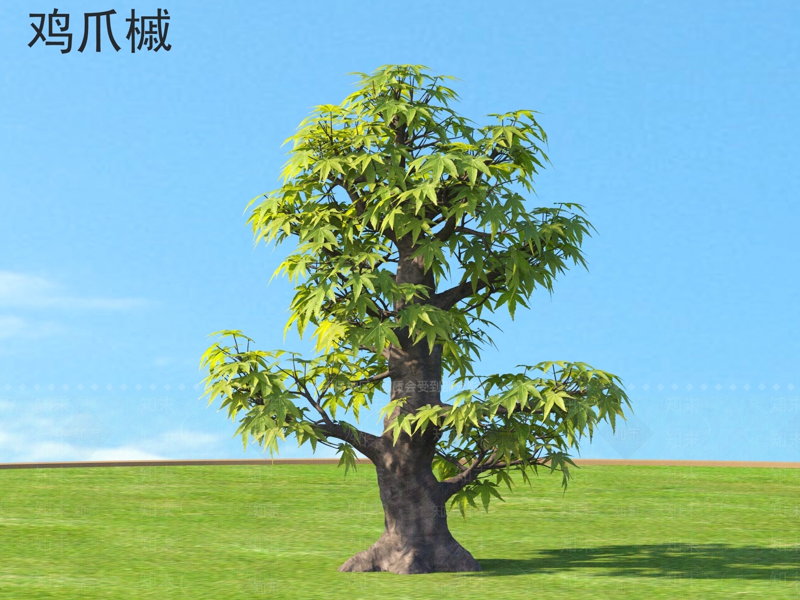 乔木3D模型下载【ID:1164041403】