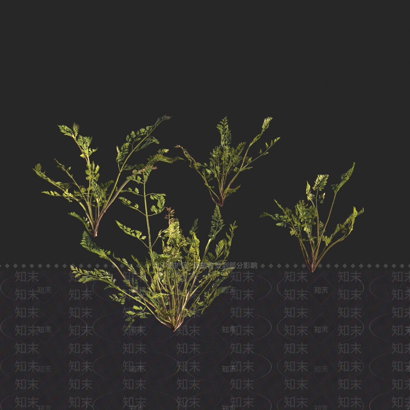 花草组合3D模型下载【ID:1164071688】