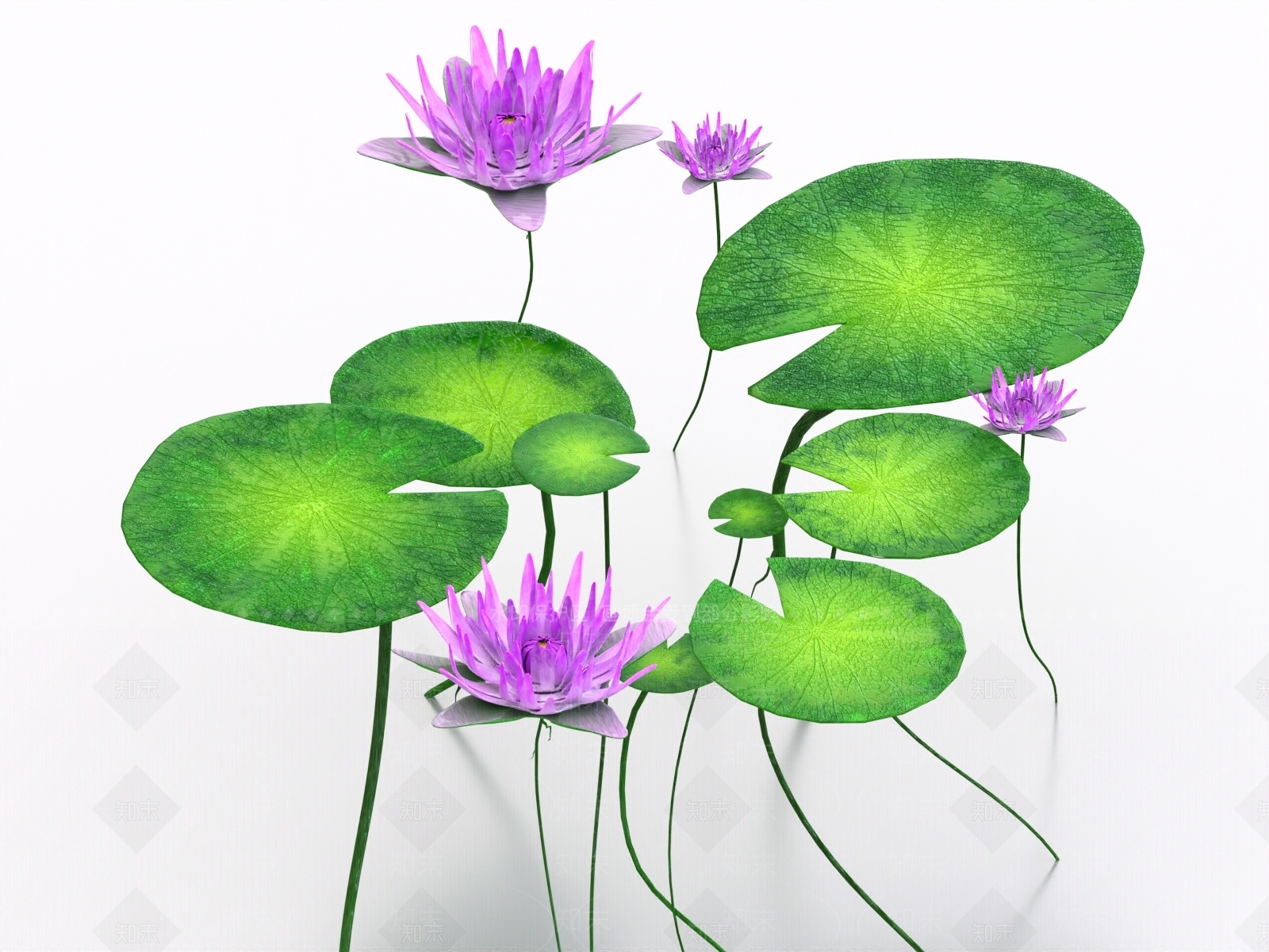 水生植物3D模型下载【ID:1164102992】