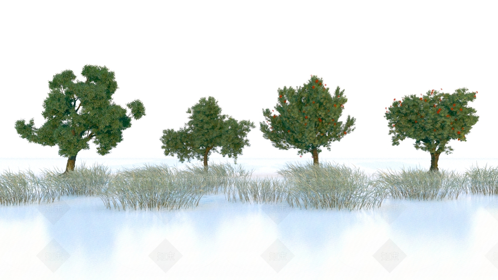 其他树木3D模型下载【ID:1164167992】