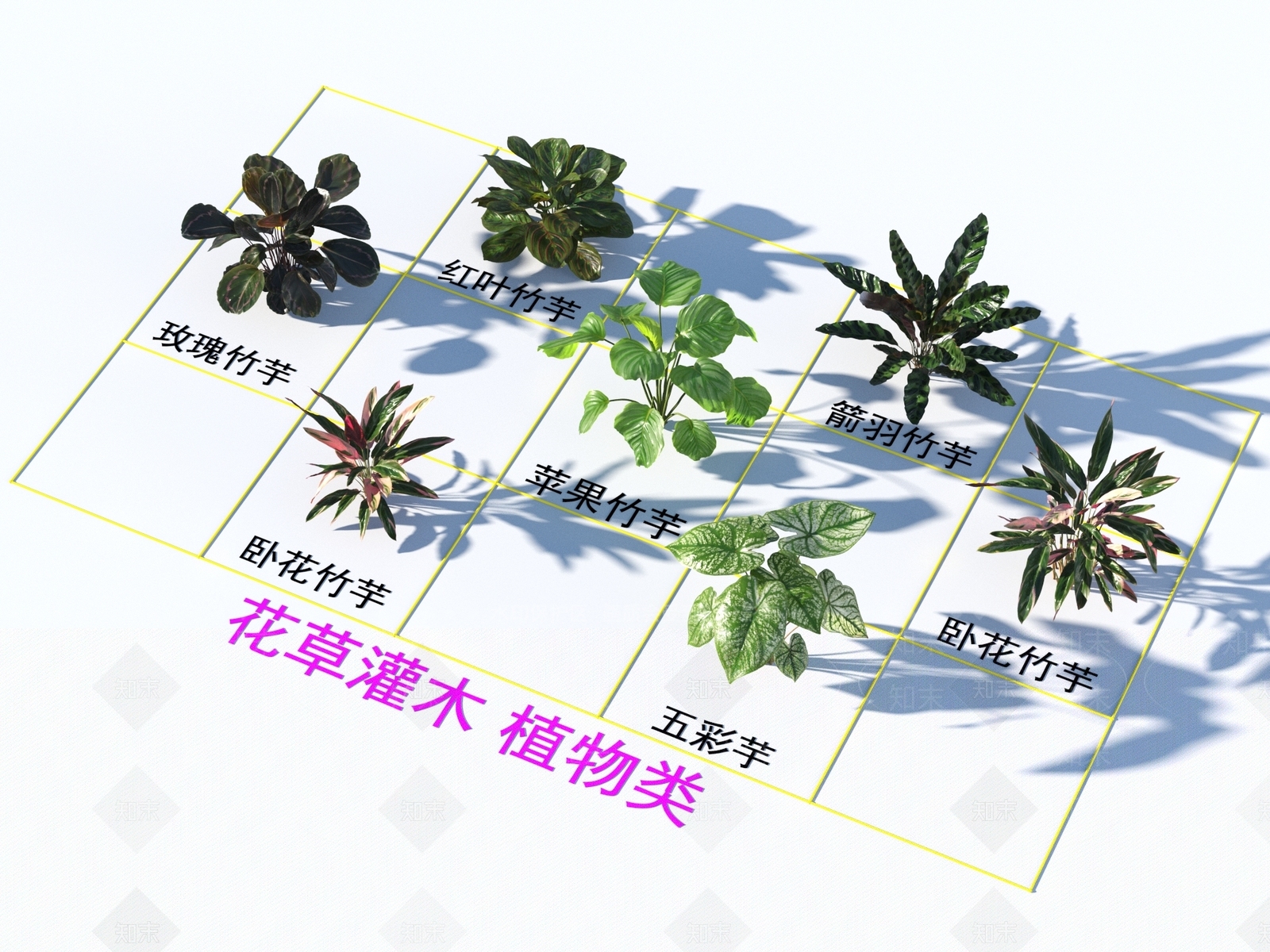 花草组合3D模型下载【ID:1164185645】