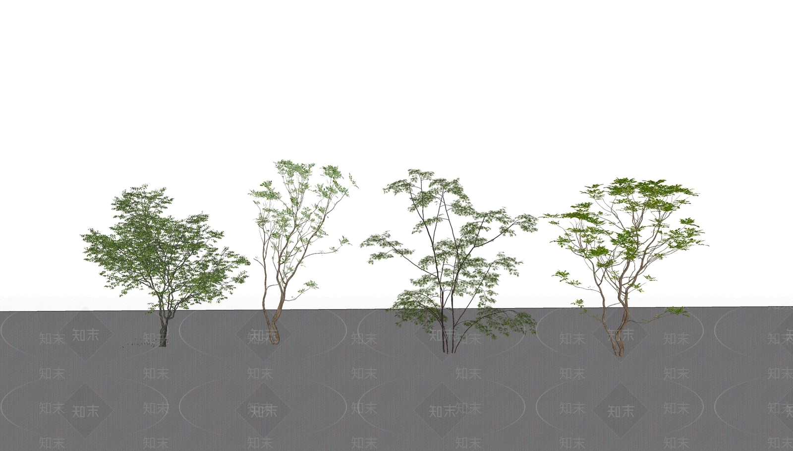 灌木SU模型下载【ID:1164200913】