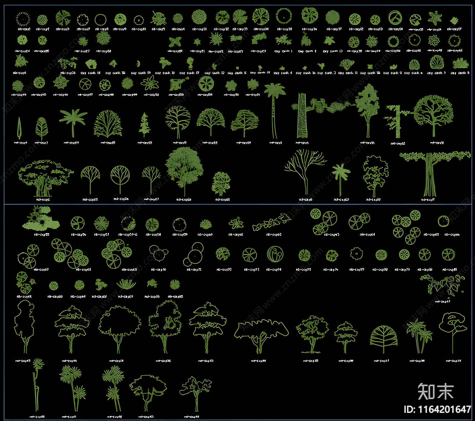 现代树施工图下载【ID:1164201647】