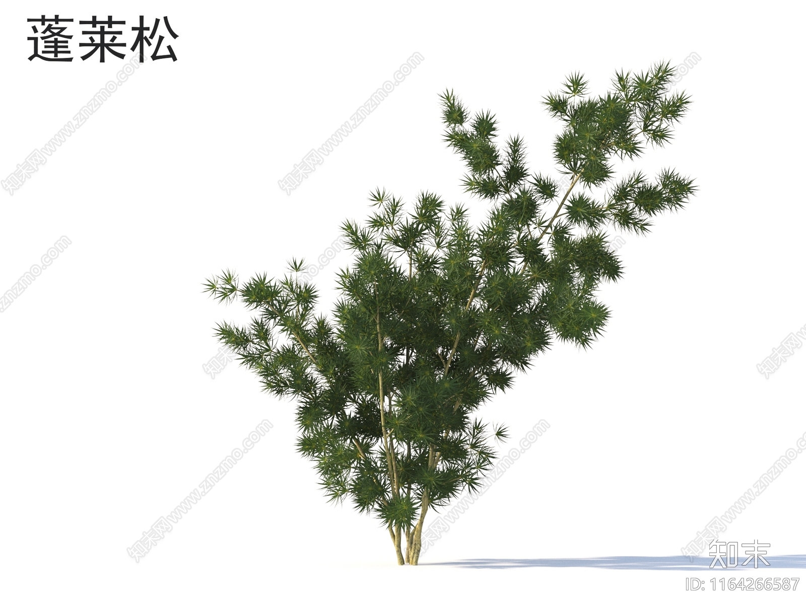 景观树3D模型下载【ID:1164266587】