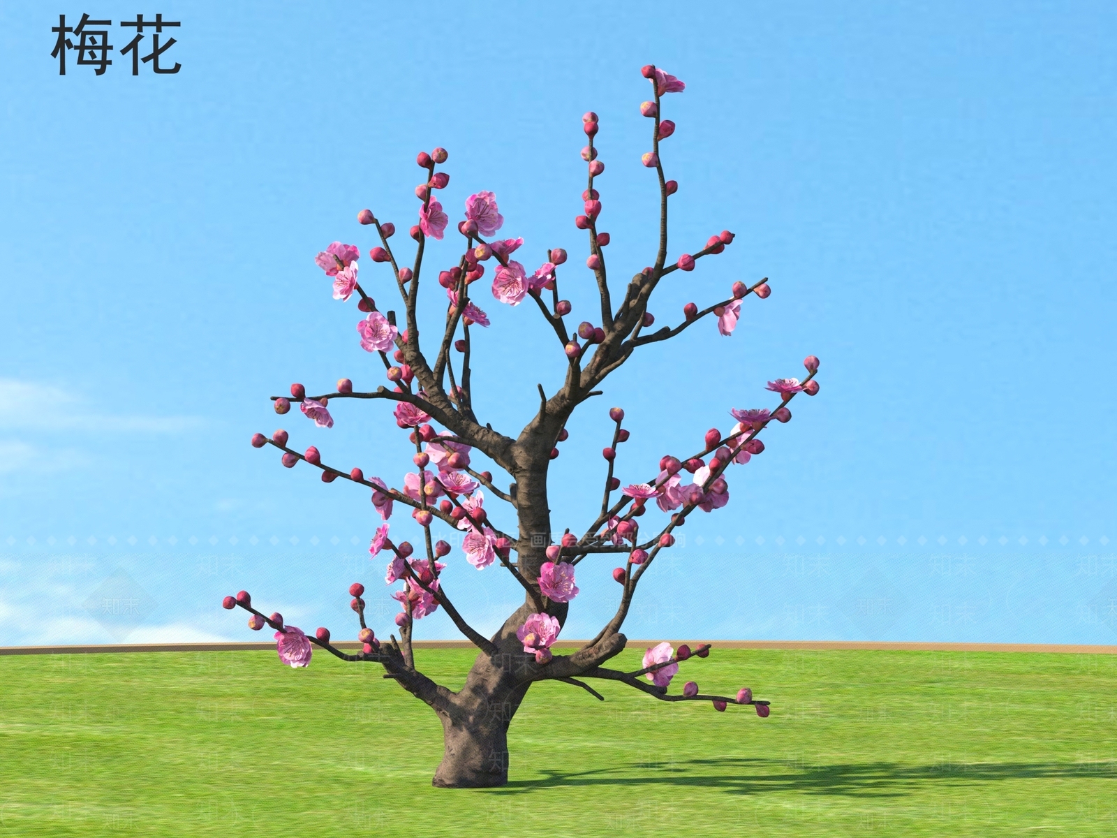景观树3D模型下载【ID:1164266631】