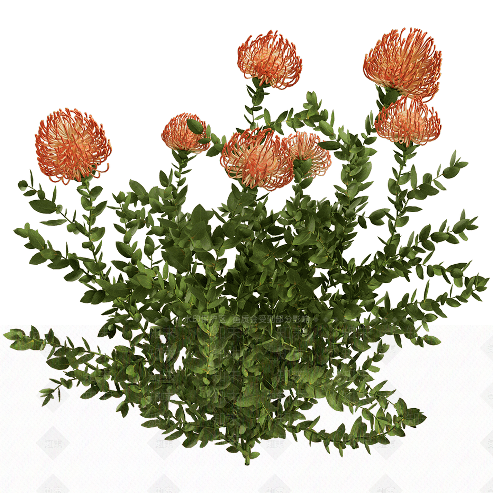 花草组合3D模型下载【ID:1164271522】