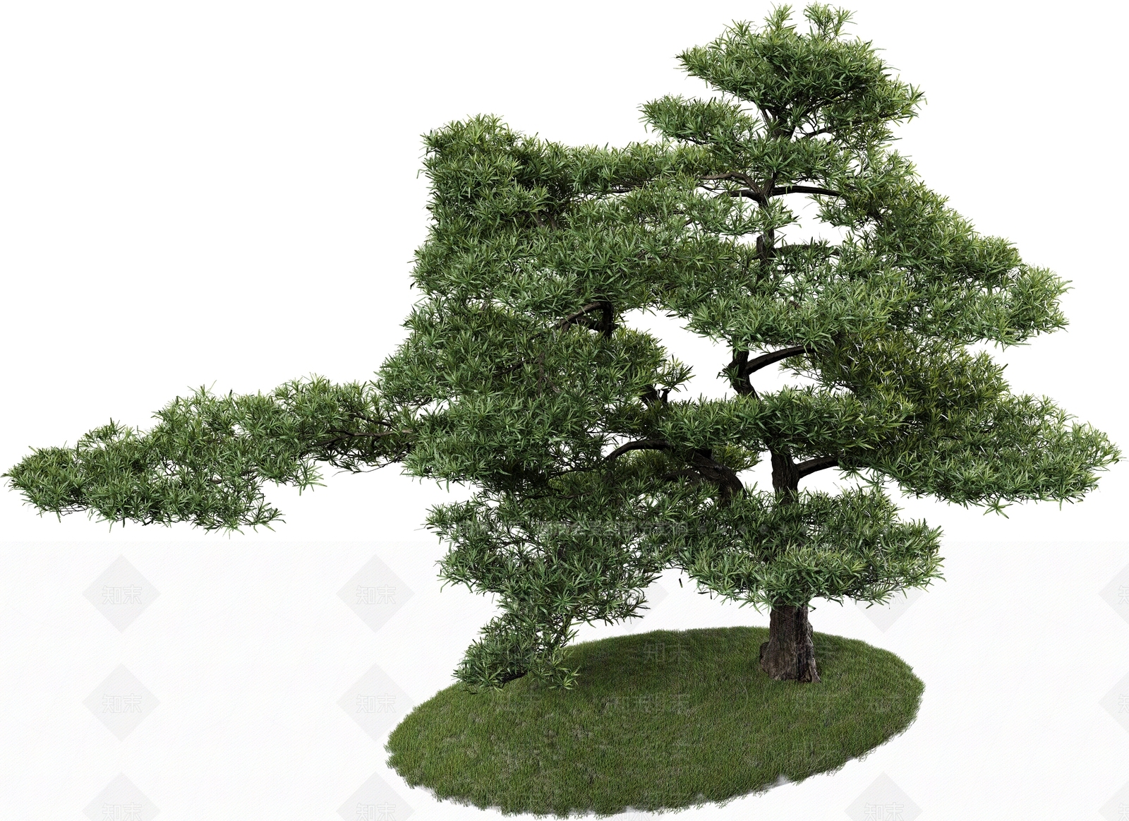 景观树3D模型下载【ID:1164329155】