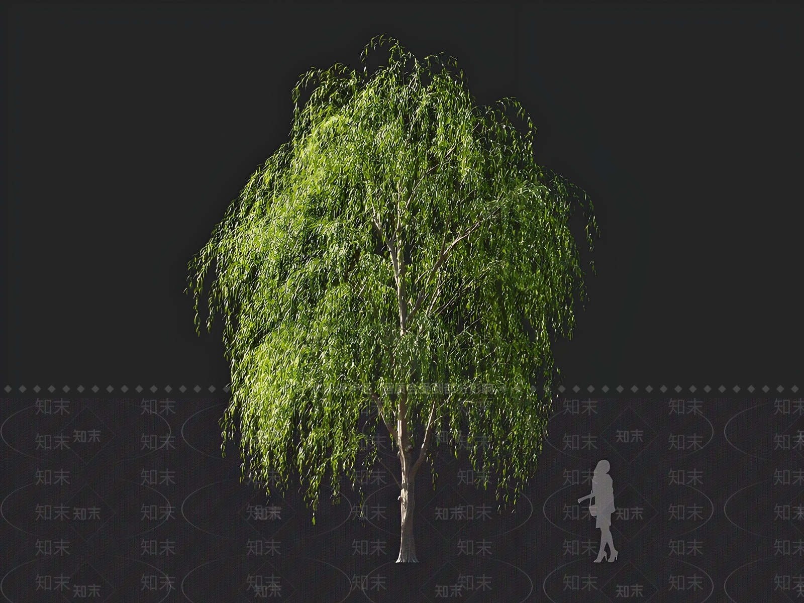 乔木3D模型下载【ID:1164357149】