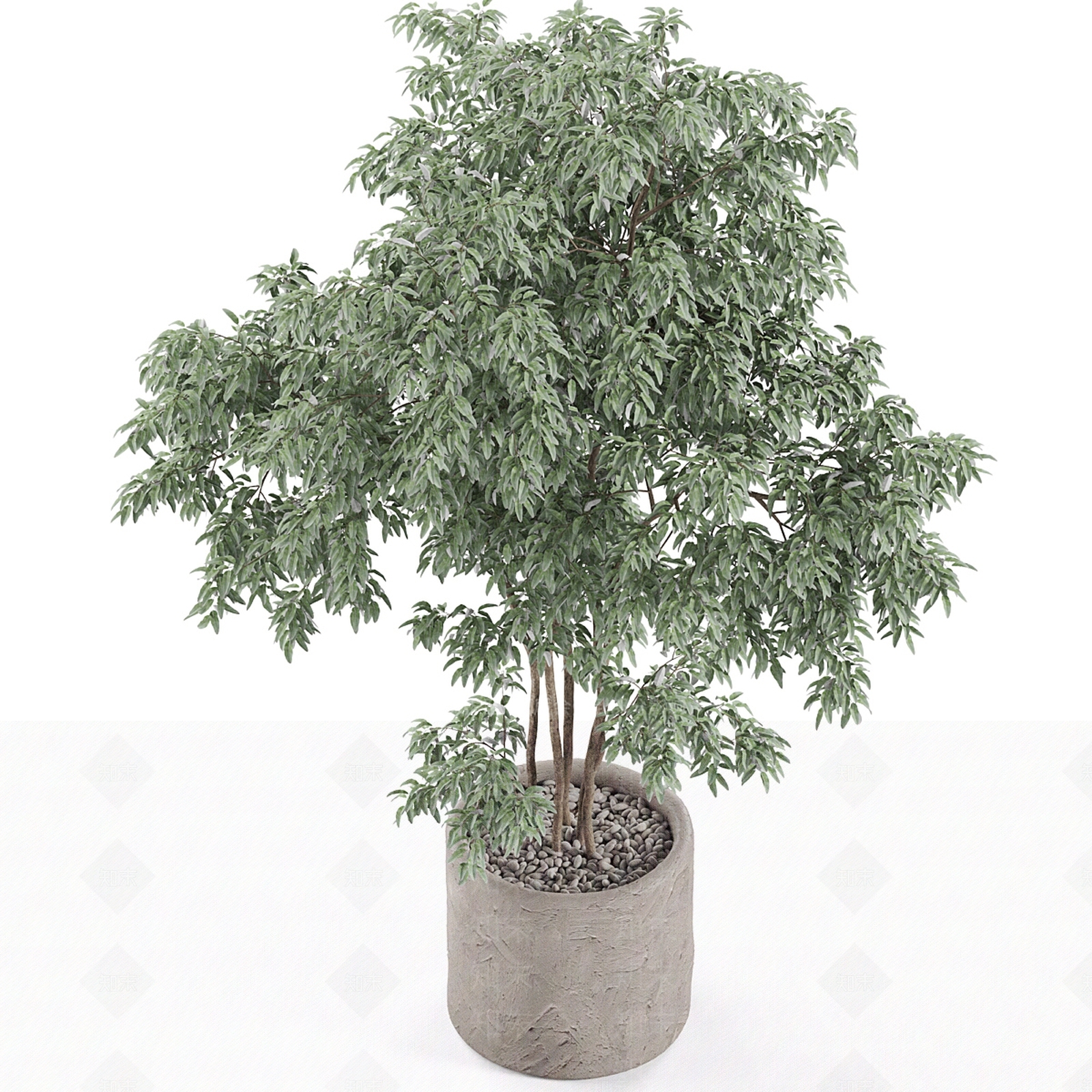 盆栽3D模型下载【ID:1164365672】