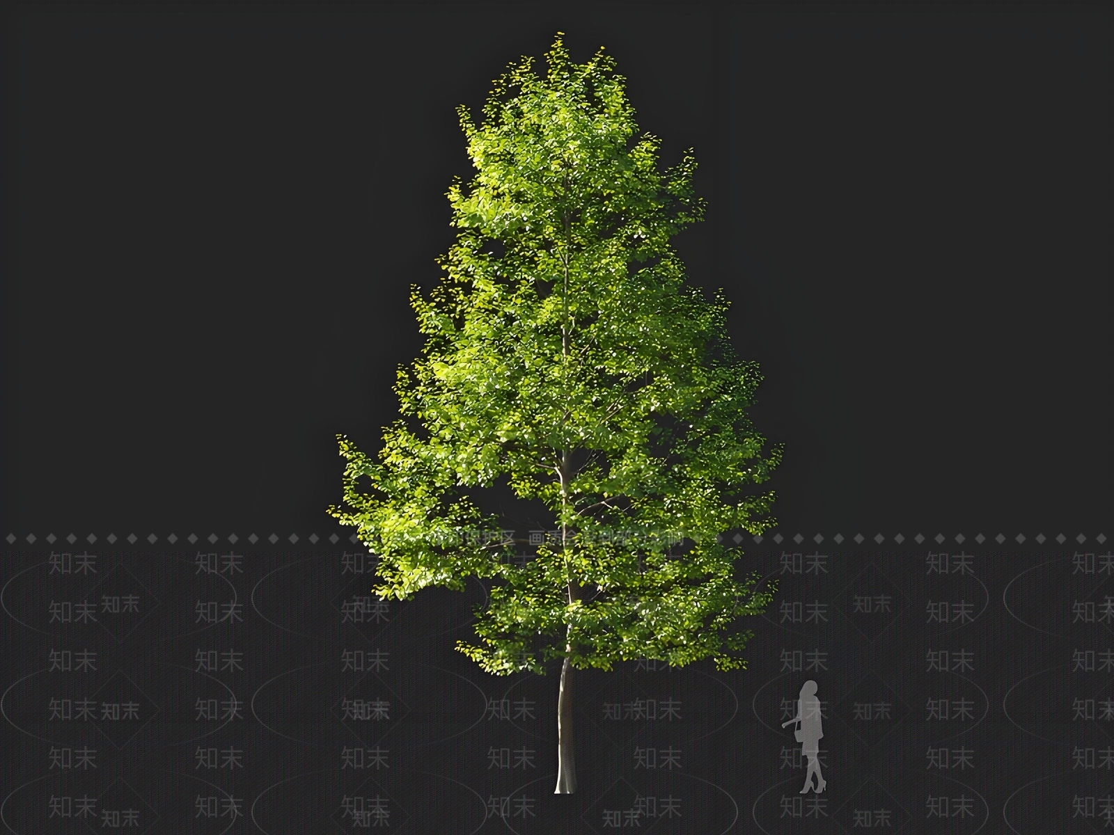 乔木3D模型下载【ID:1164397620】