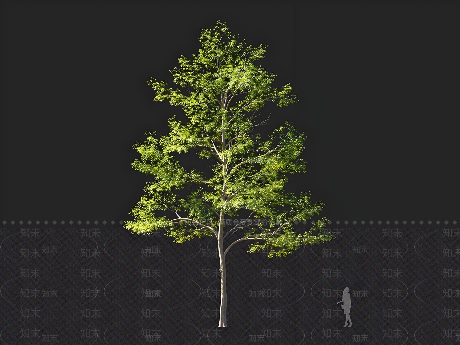 乔木3D模型下载【ID:1164398579】