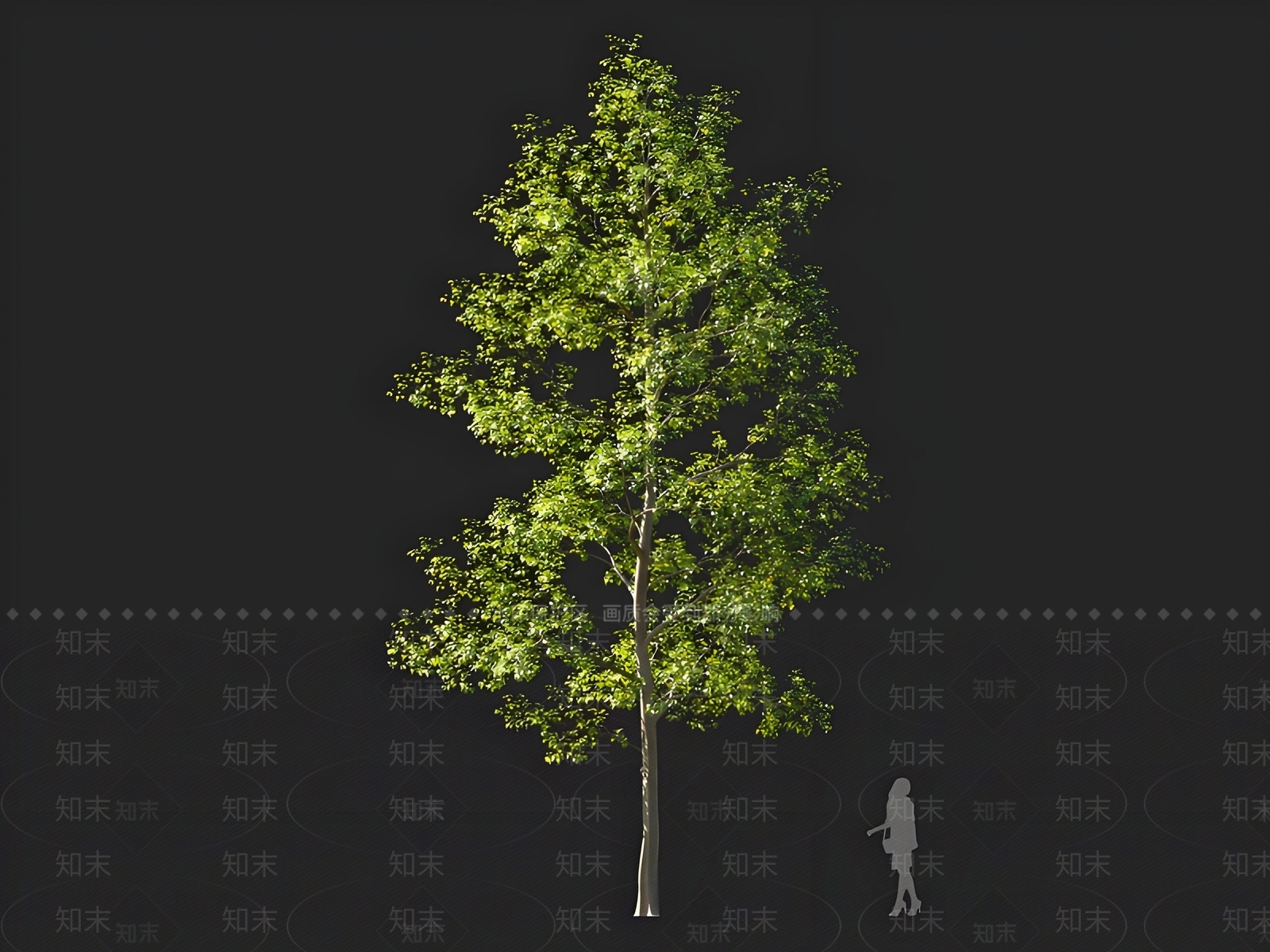 乔木3D模型下载【ID:1164398648】