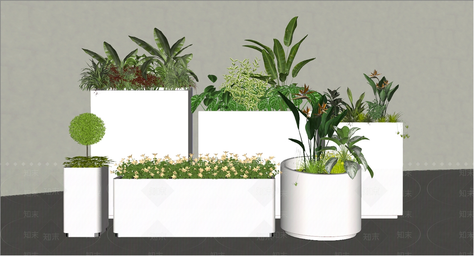 植物组合SU模型下载【ID:1164425342】