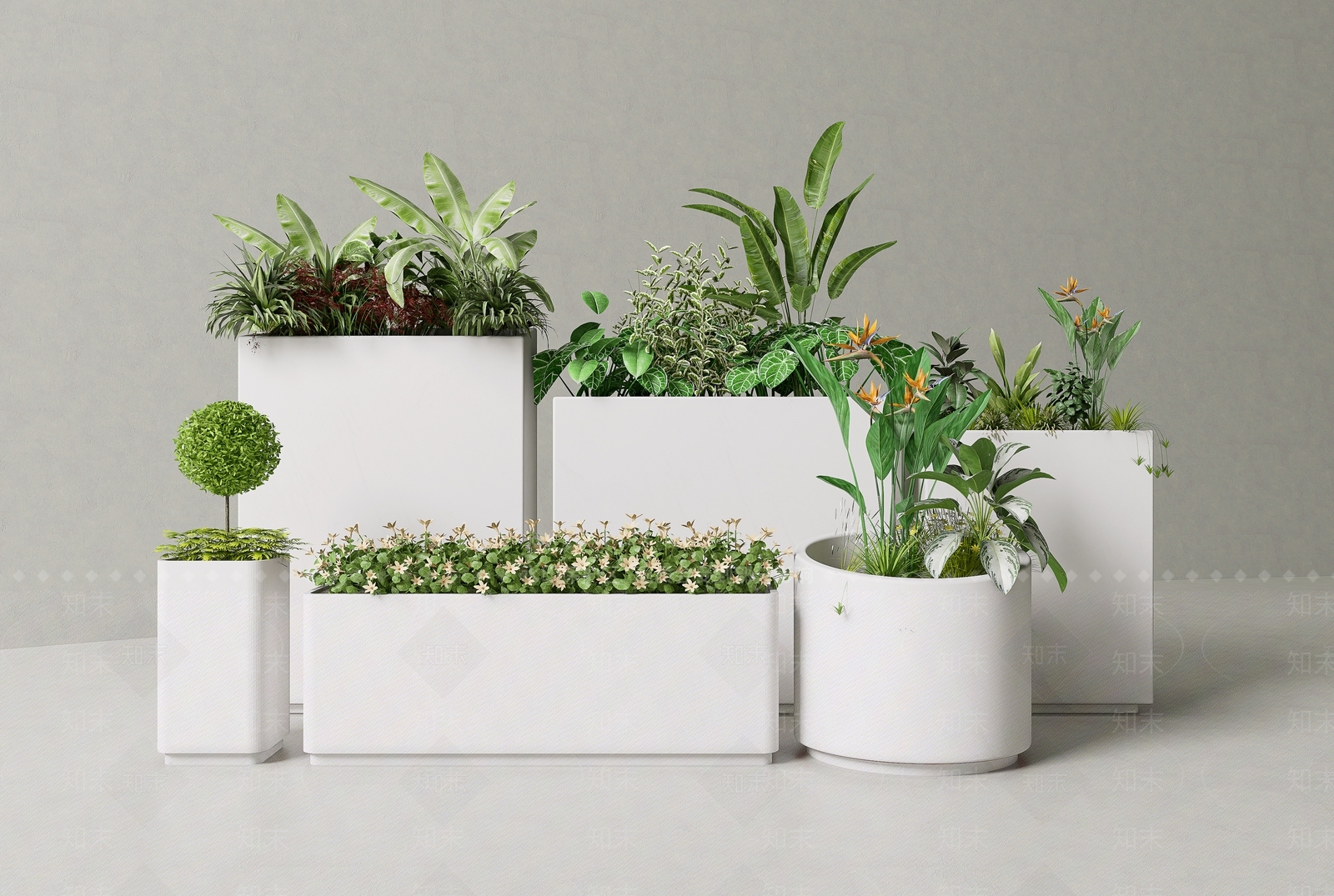 植物组合SU模型下载【ID:1164425342】