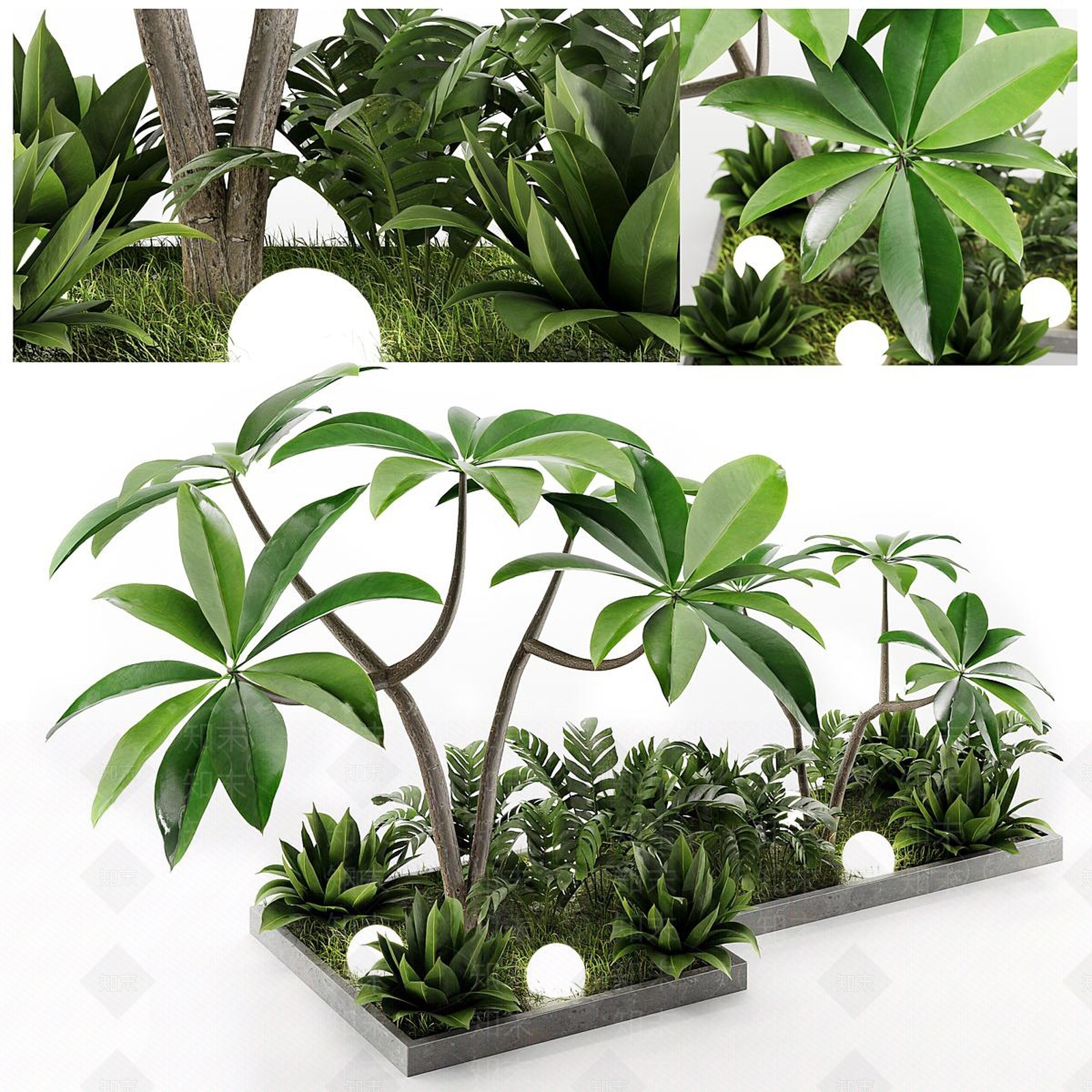 植物组合SU模型下载【ID:1164441612】