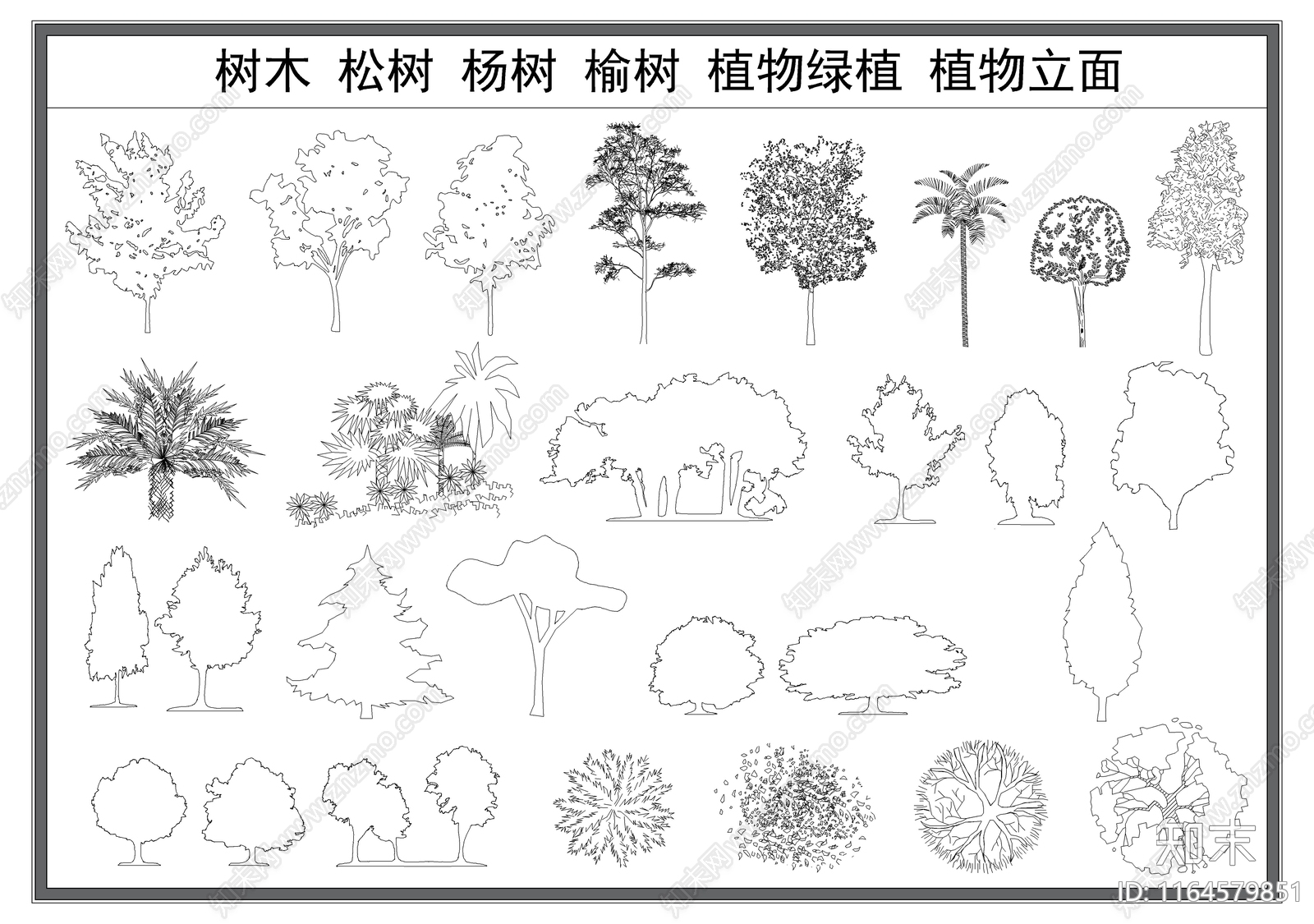 现代树施工图下载【ID:1164579851】