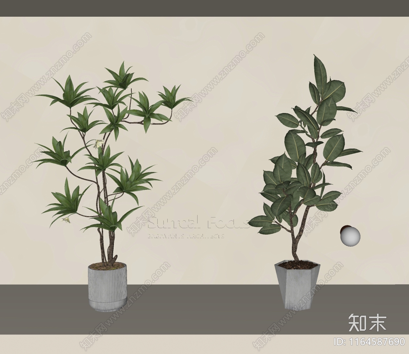 盆栽SU模型下载【ID:1164587690】