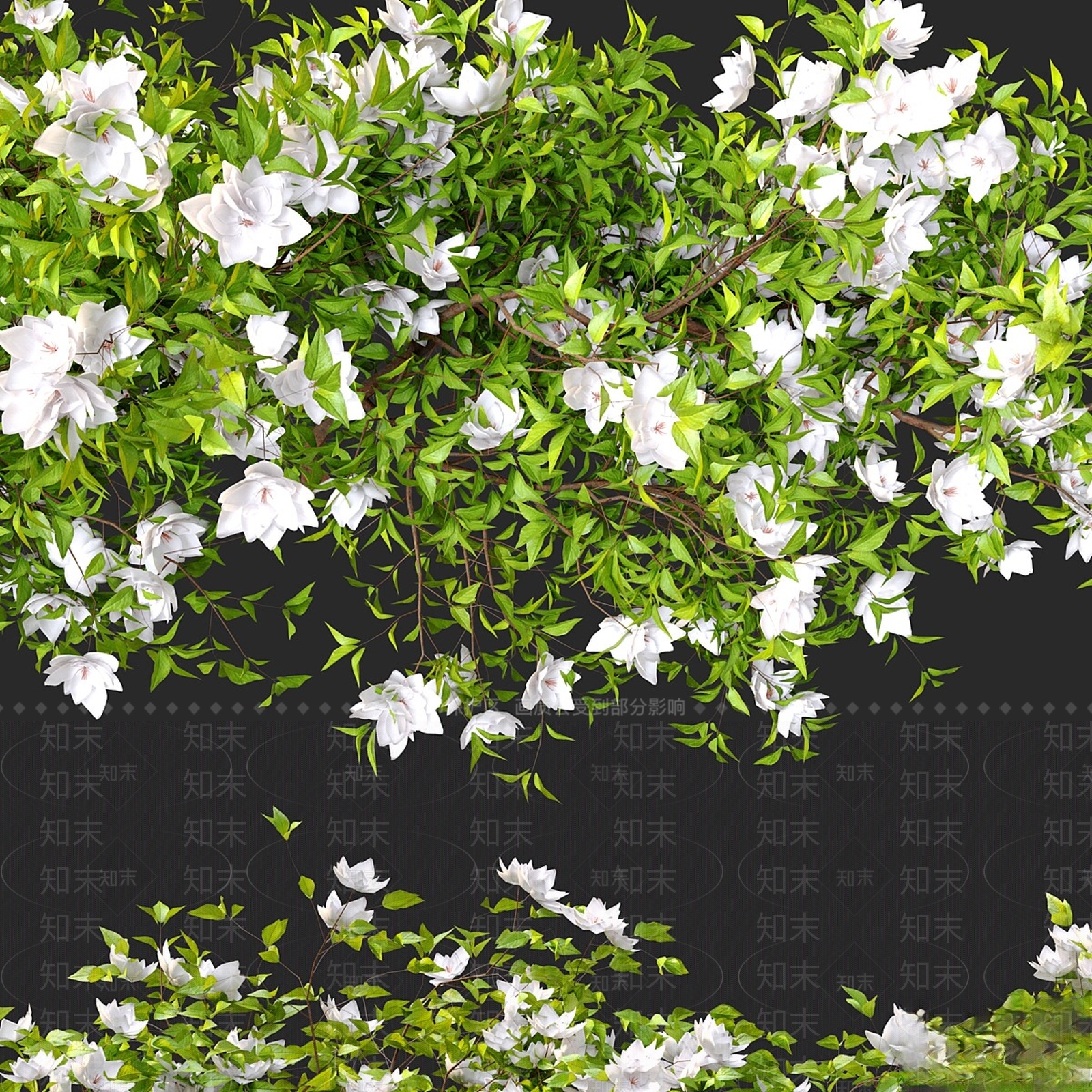 花草组合3D模型下载【ID:1164667297】
