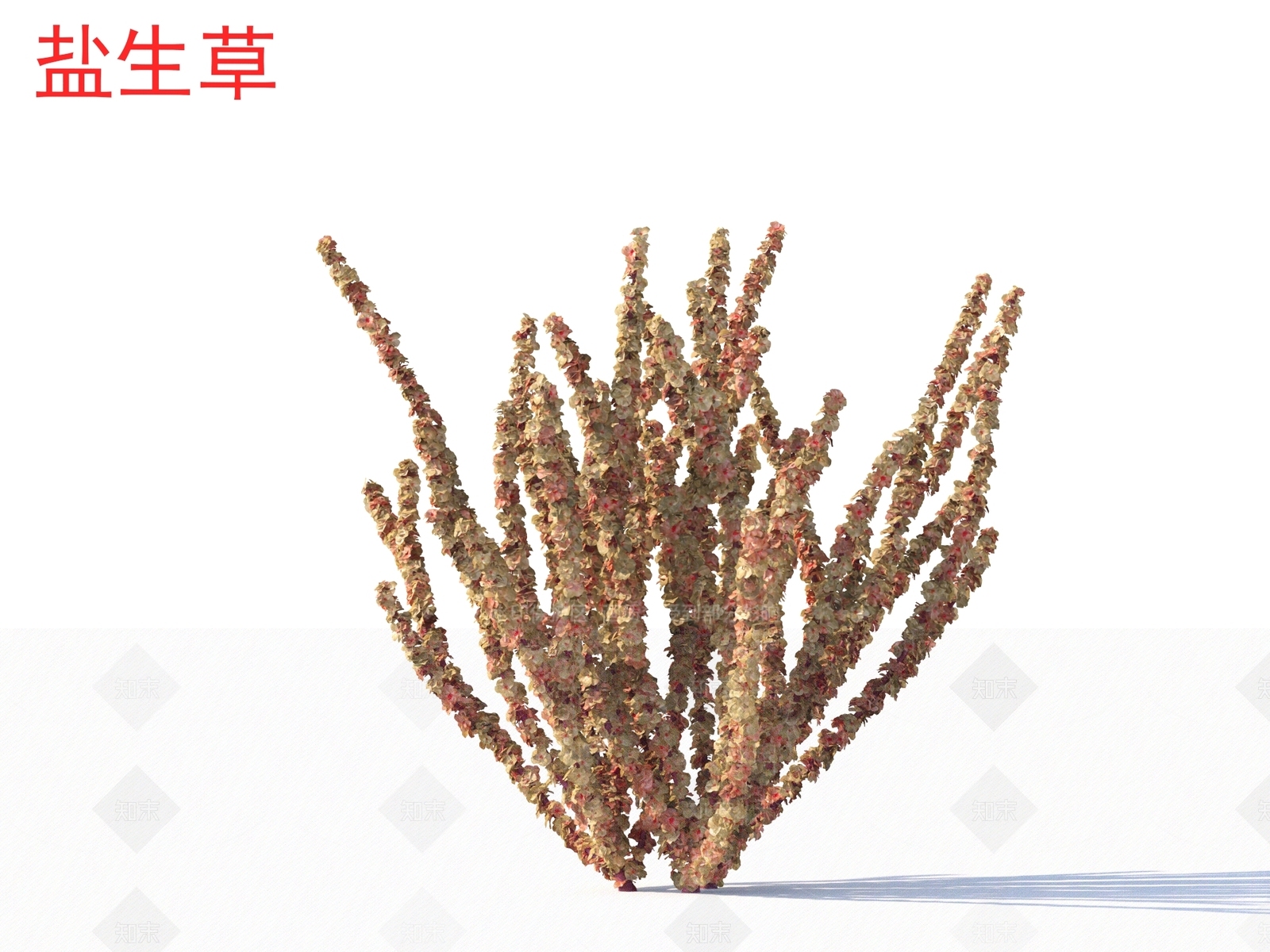 草3D模型下载【ID:1164709569】