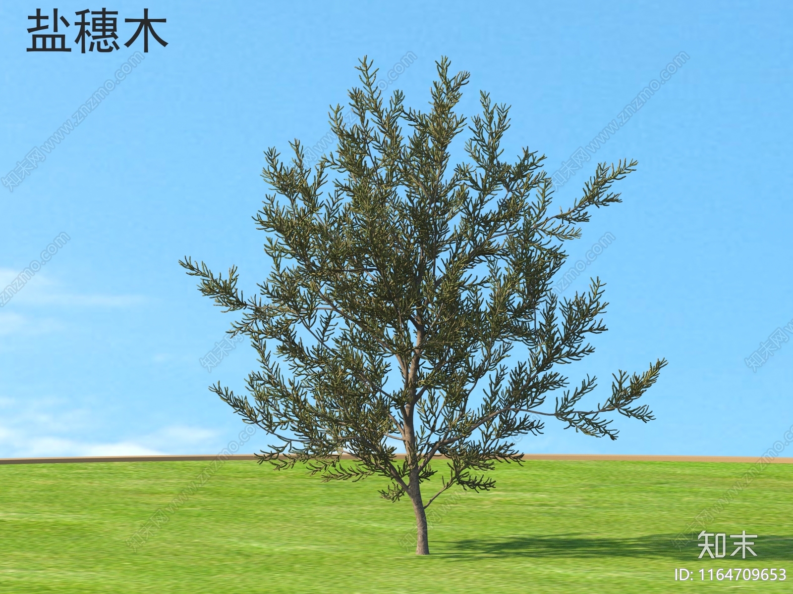 灌木3D模型下载【ID:1164709653】