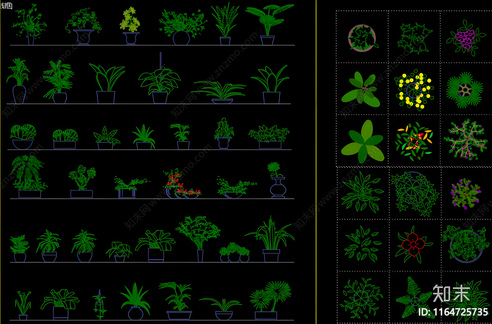 现代综合植物图库施工图下载【ID:1164725735】