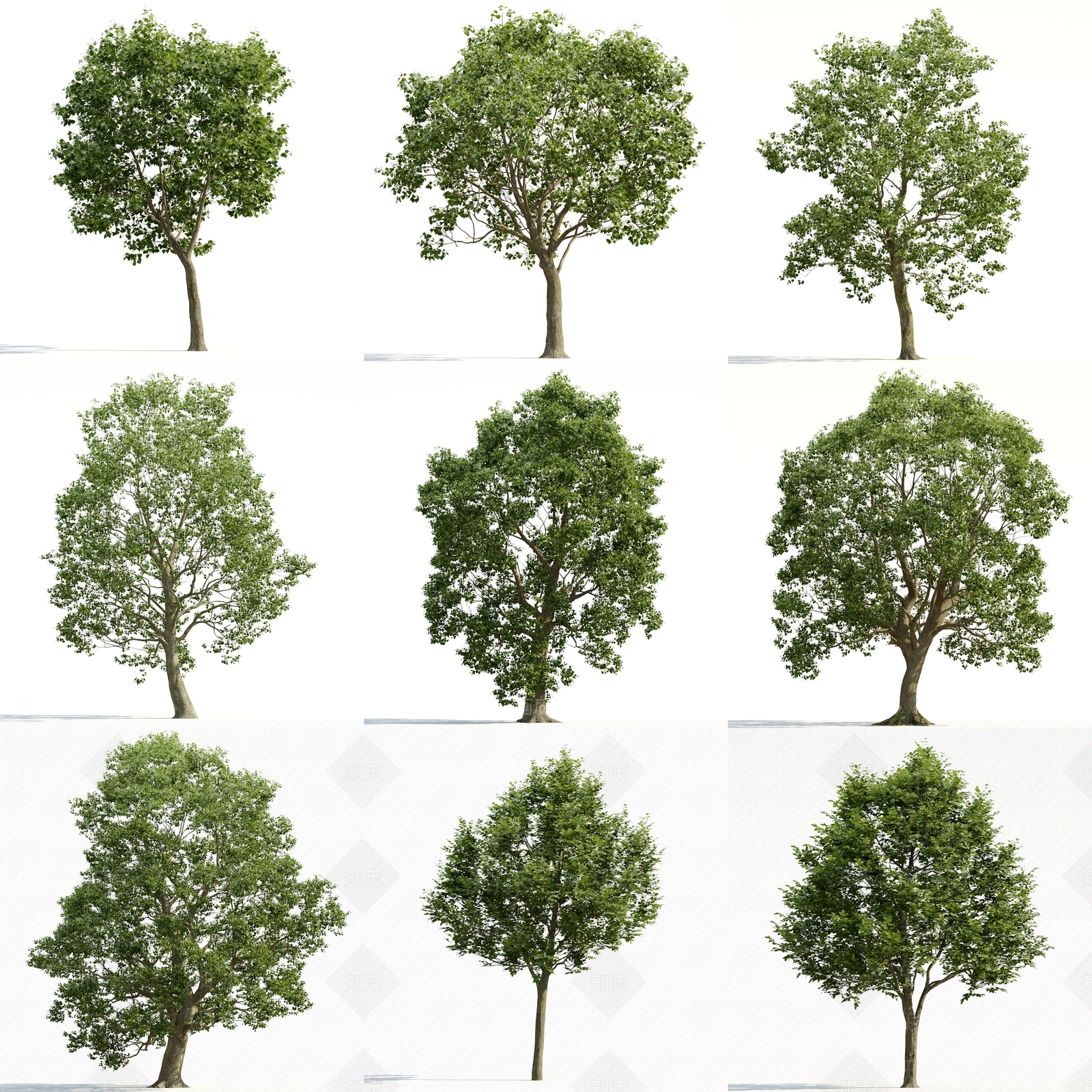 景观树3D模型下载【ID:1164745041】