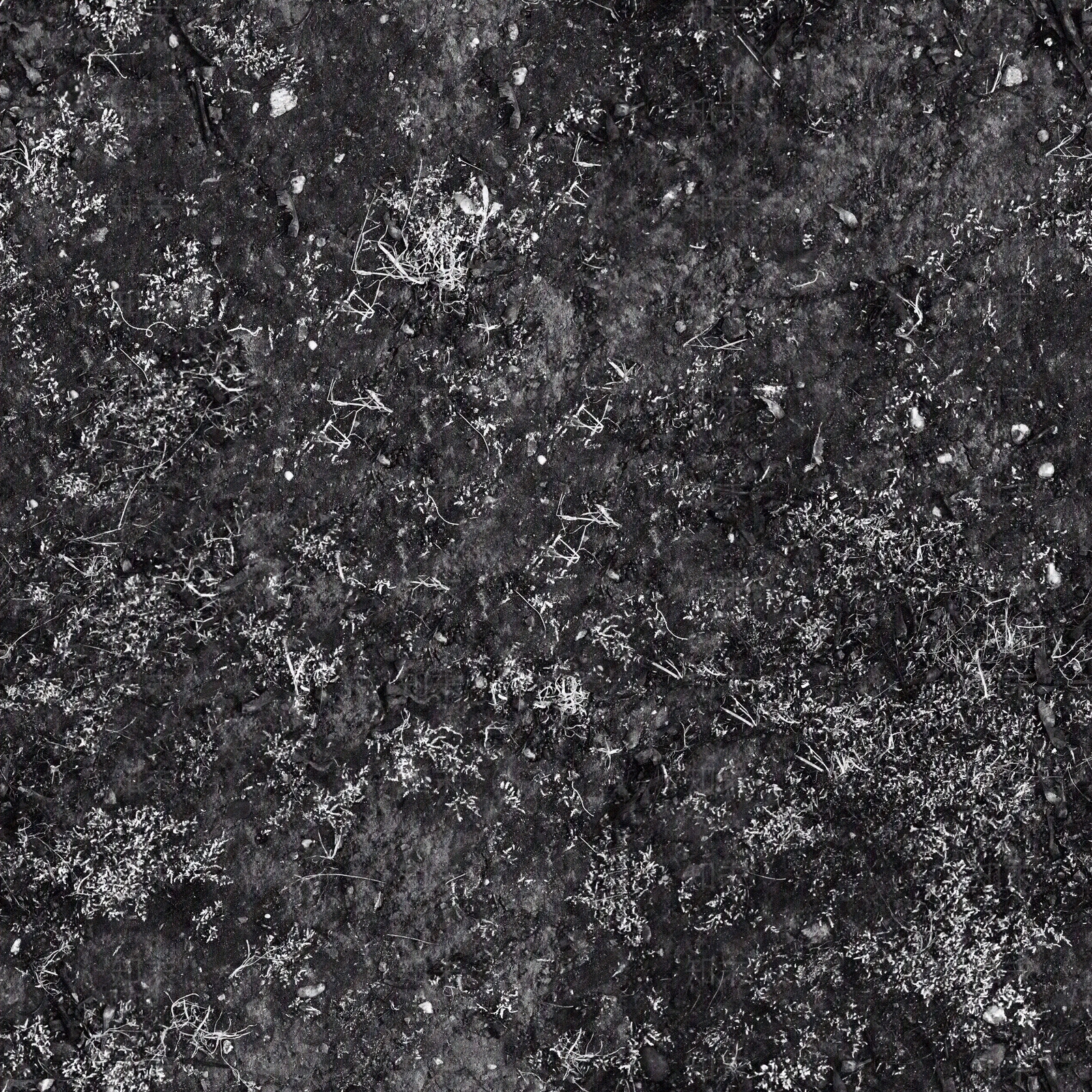 现代自然地面贴图下载【ID:1164764532】