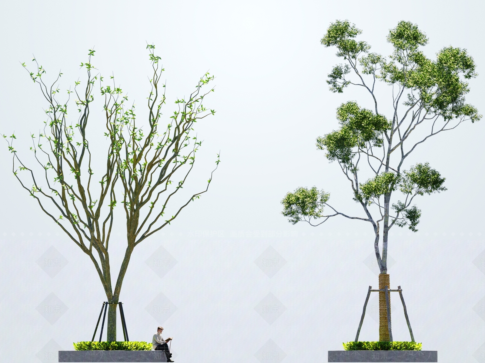 乔木3D模型下载【ID:1164775552】