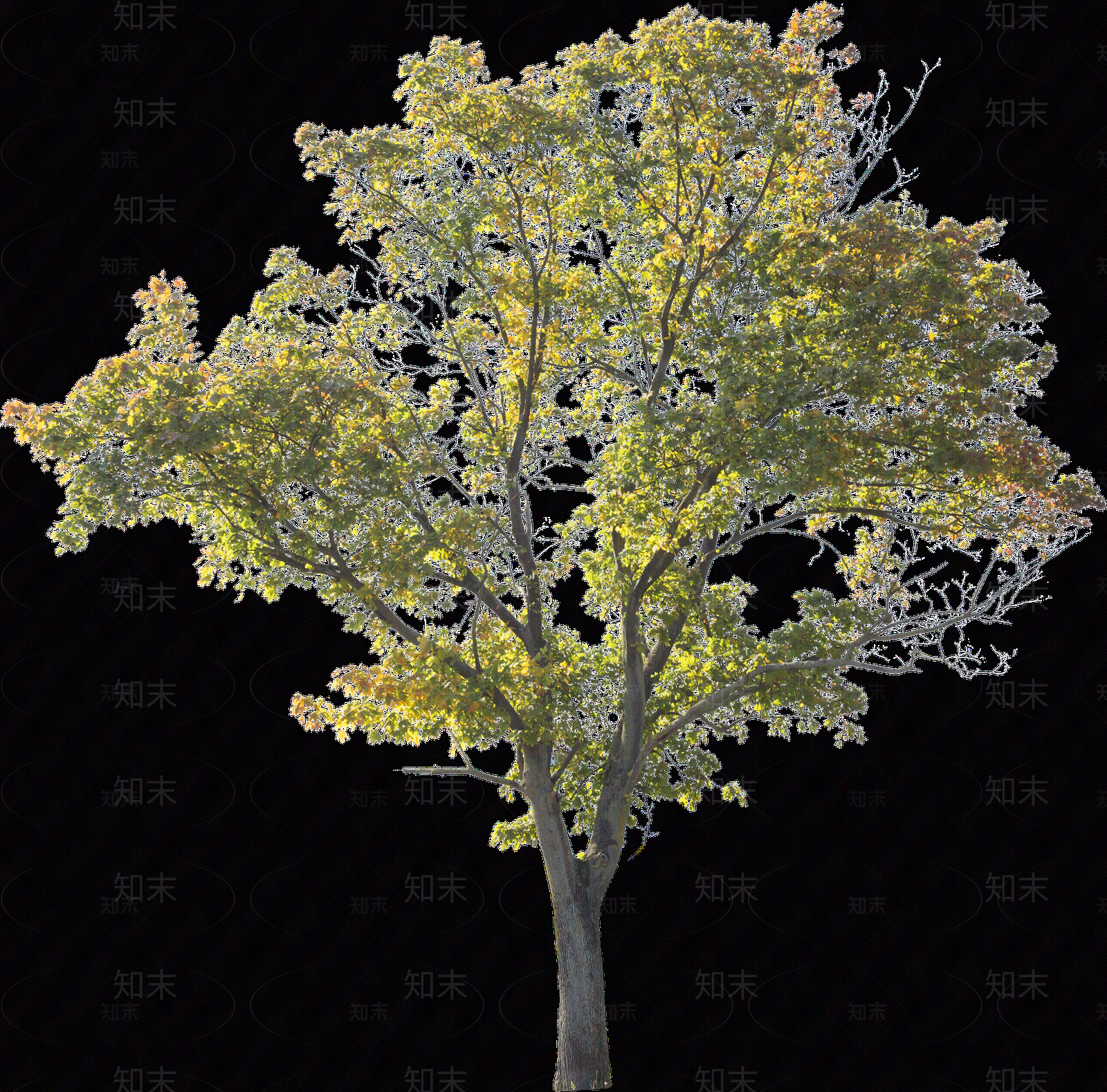 现代风景贴图下载【ID:1164812136】