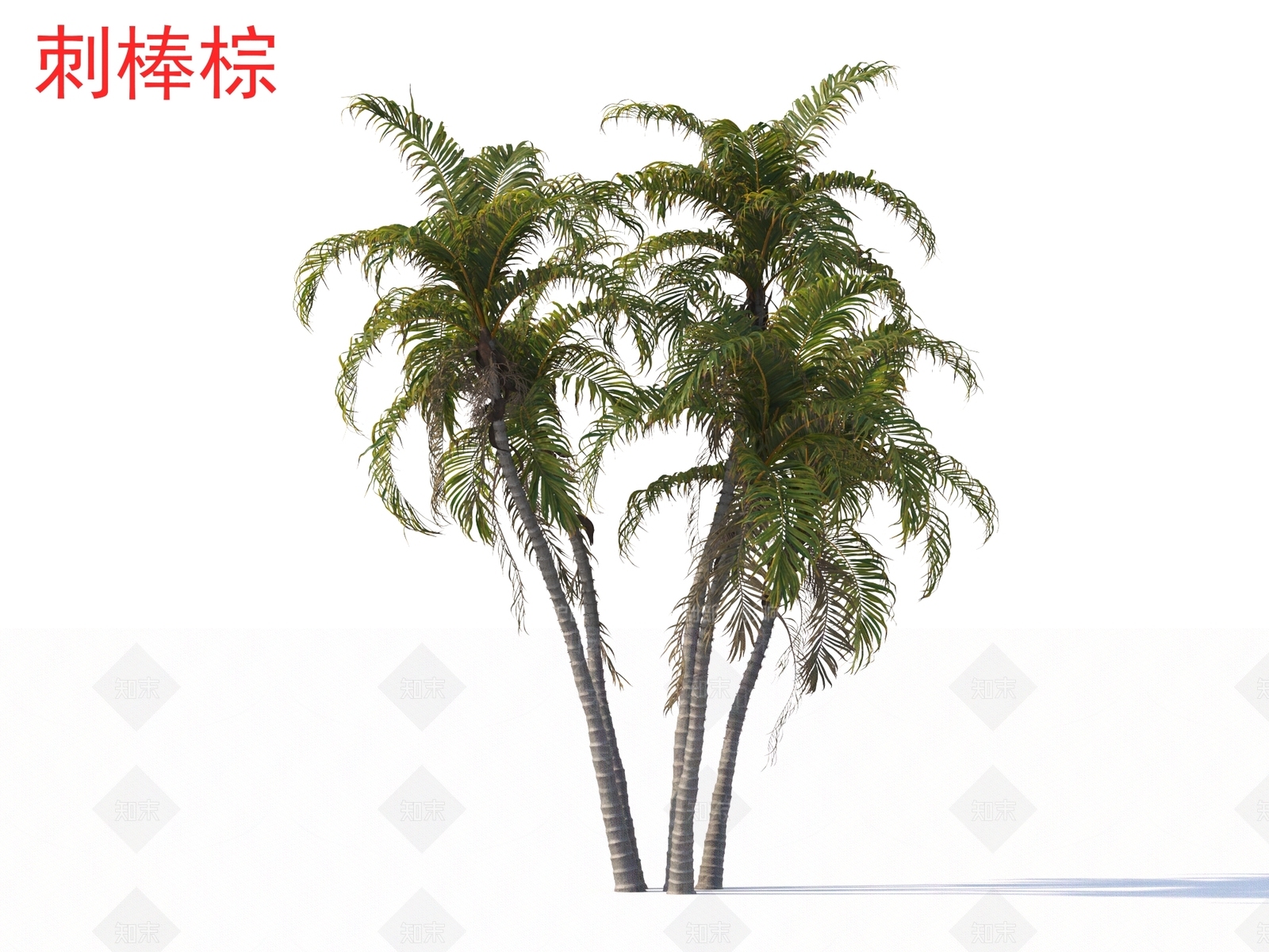 景观树3D模型下载【ID:1164822684】