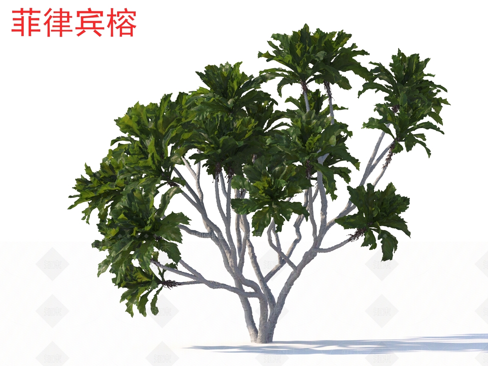 景观树3D模型下载【ID:1164822881】