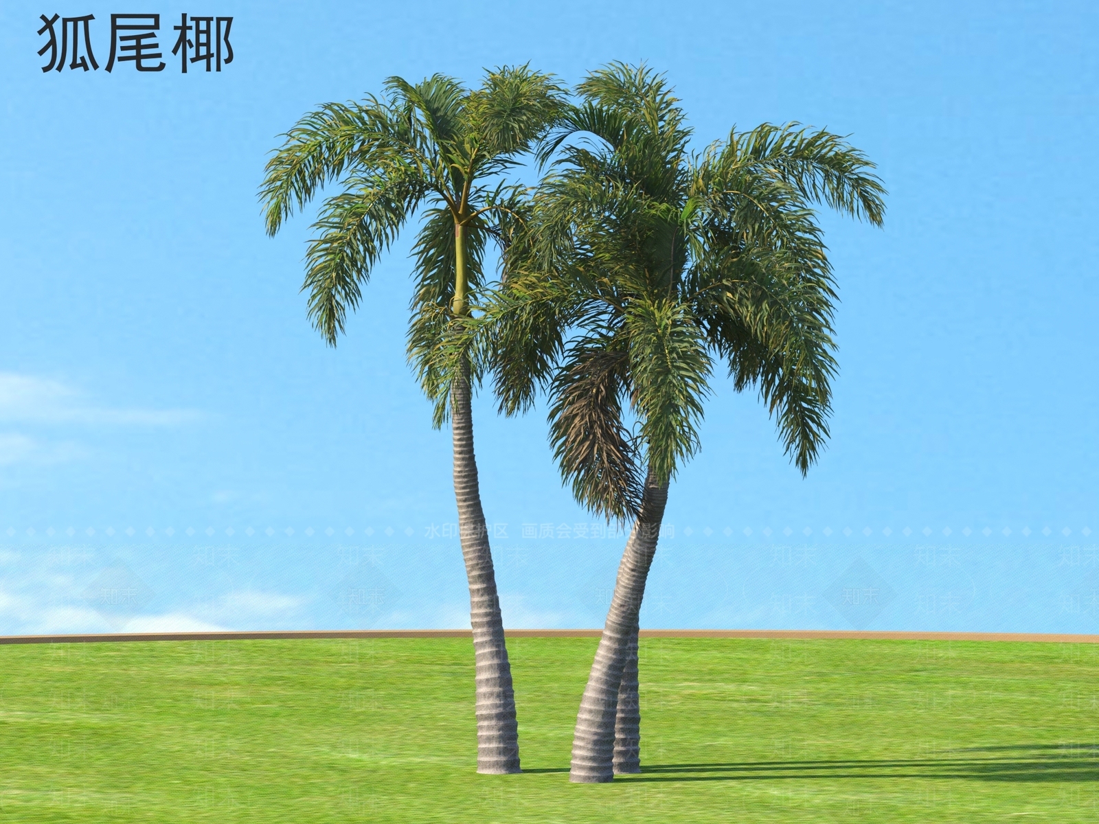 景观树3D模型下载【ID:1164822947】