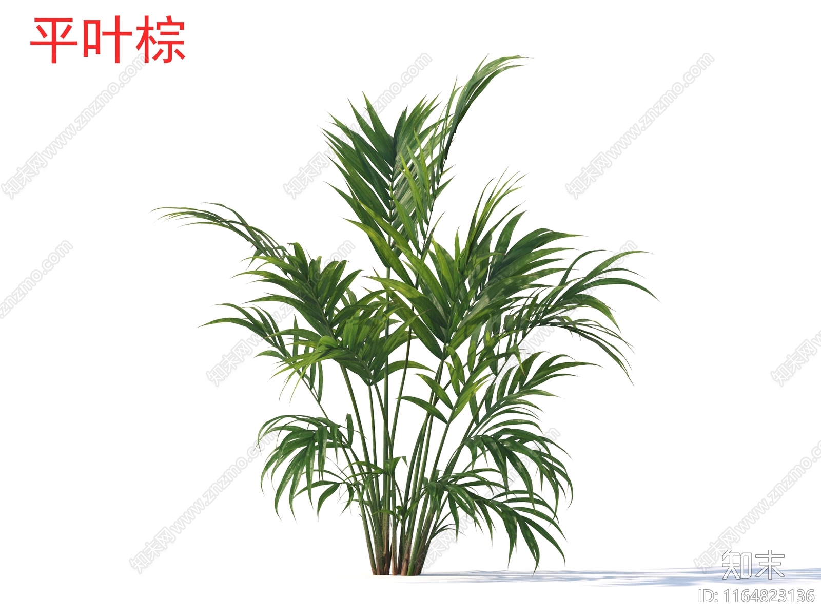 草3D模型下载【ID:1164823136】