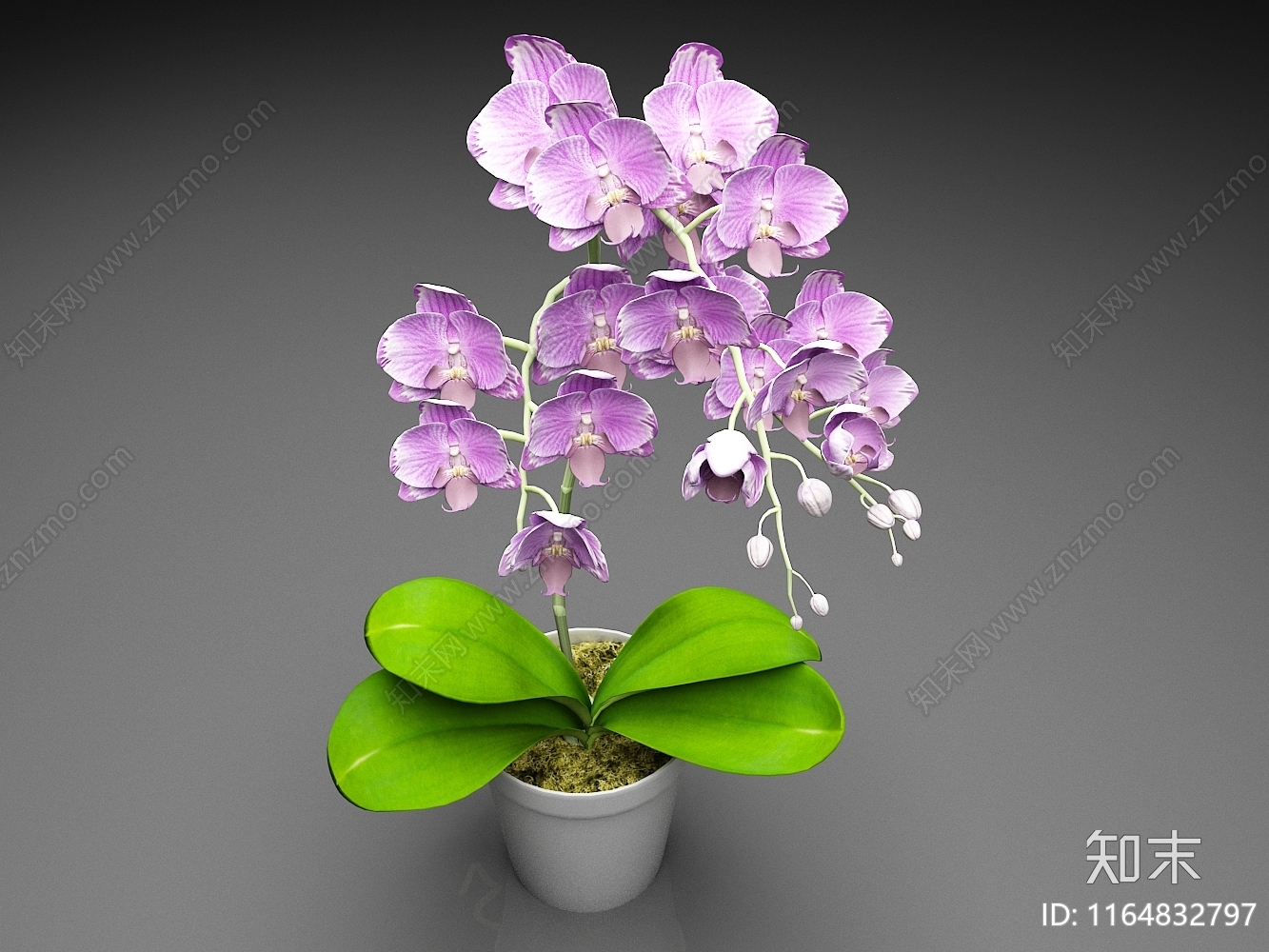 花3D模型下载【ID:1164832797】