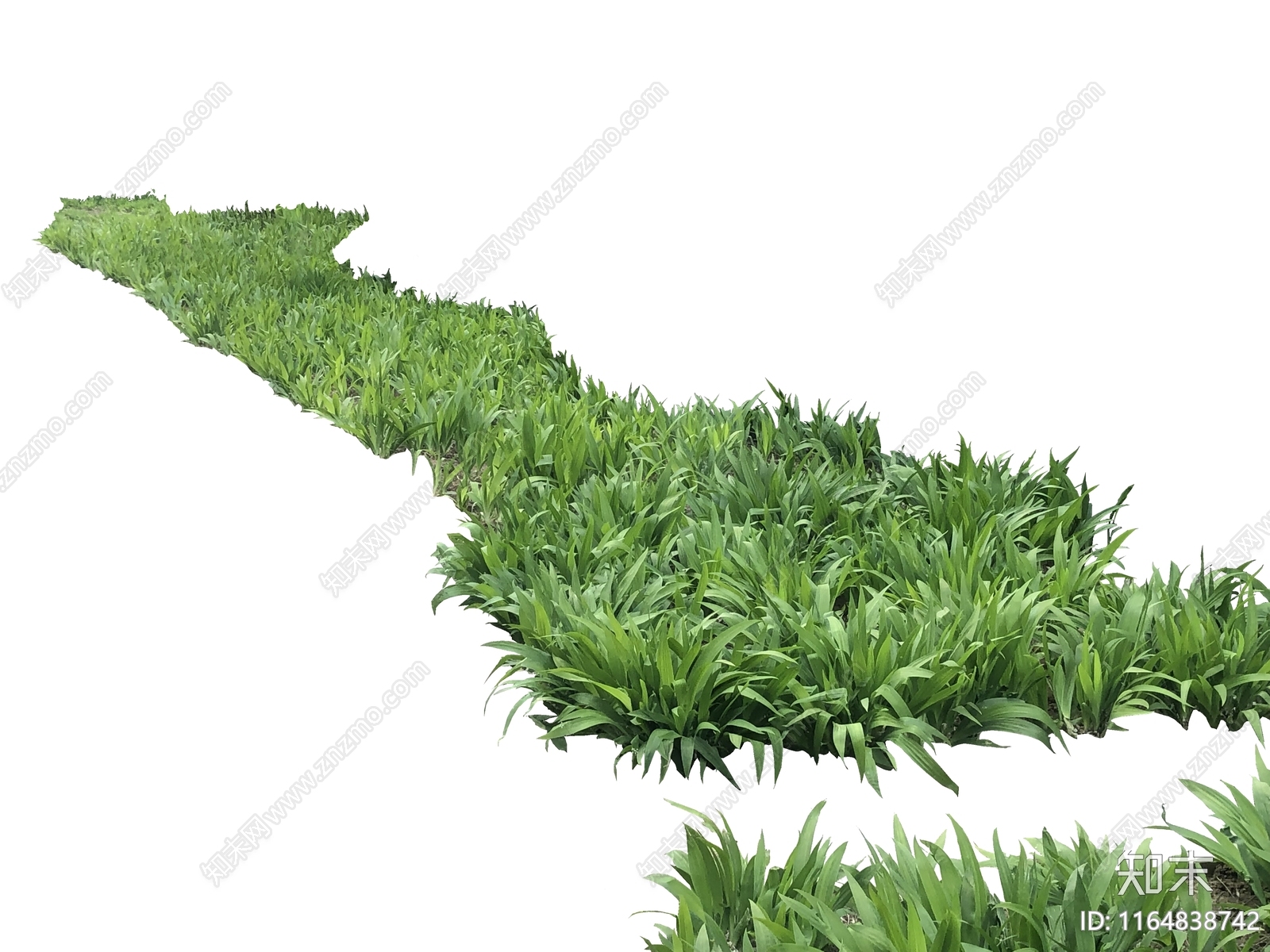 地被植物设计素材精品下载_知末网