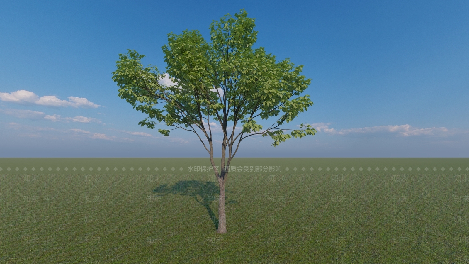 乔木SU模型下载【ID:1164843937】