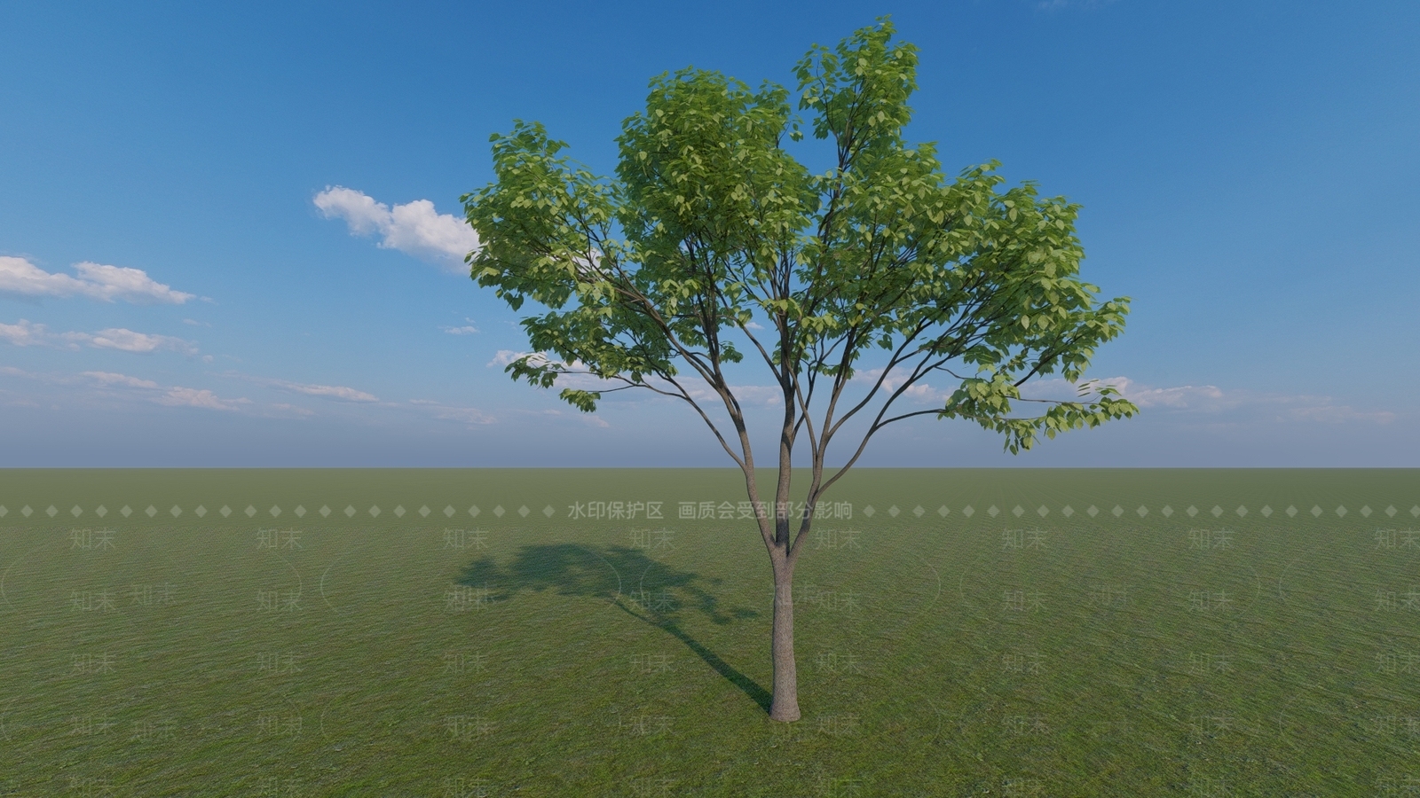 乔木SU模型下载【ID:1164843937】