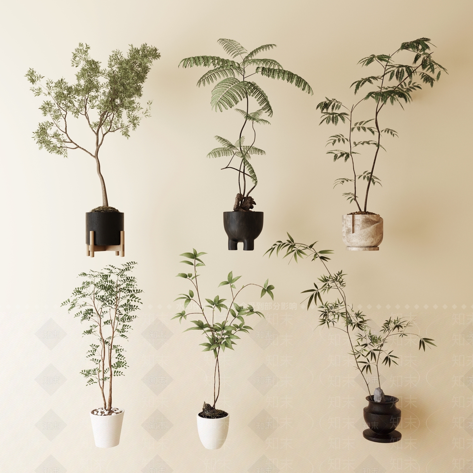 盆栽3D模型下载【ID:1164903527】