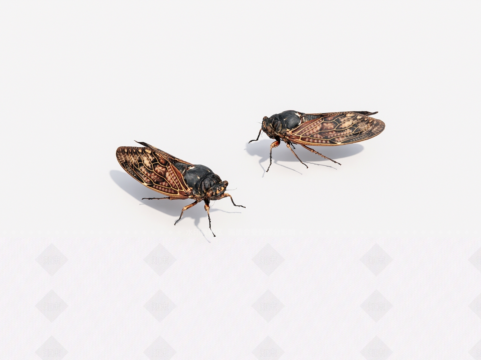 爬行动物SU模型下载【ID:1164913886】